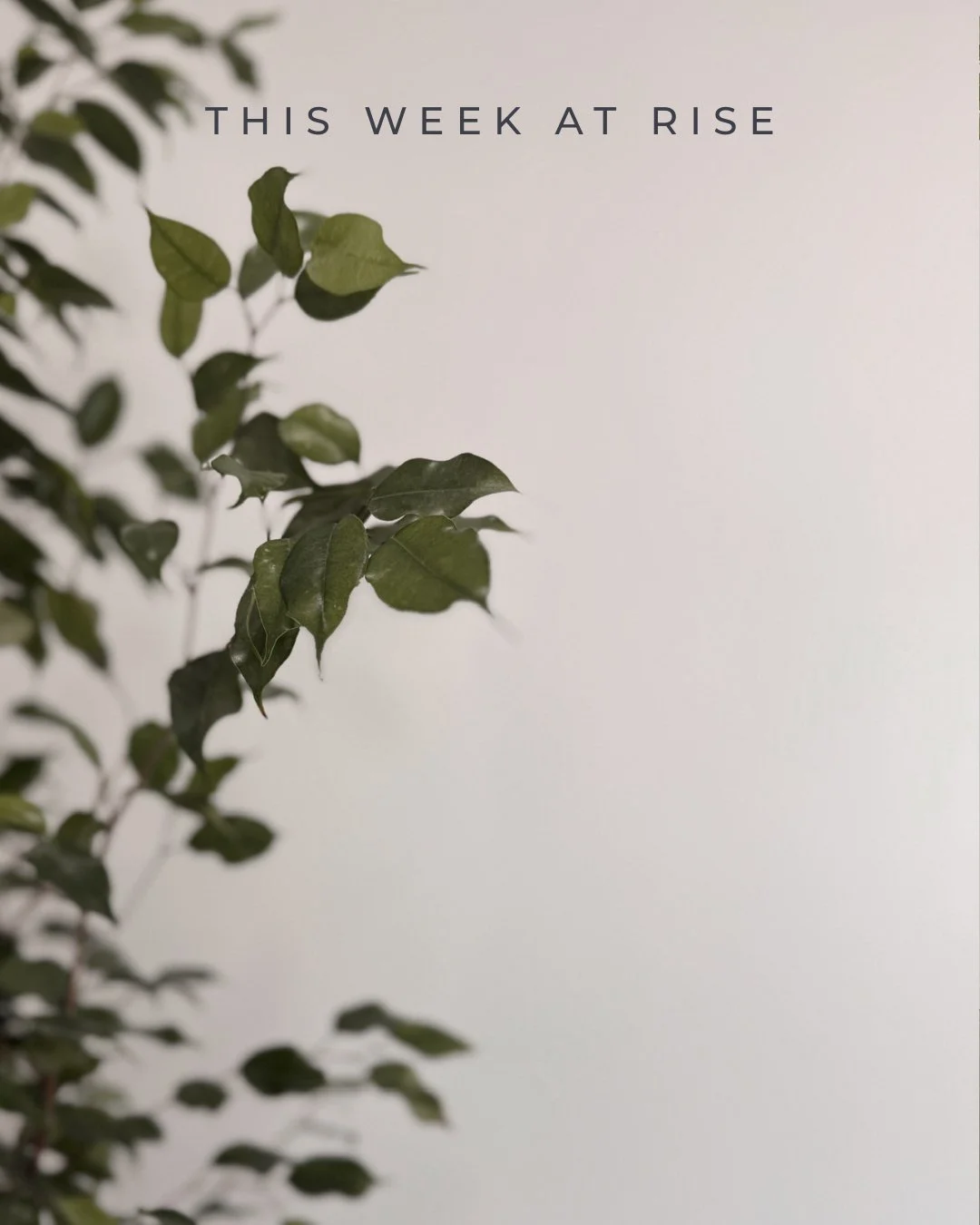 A new week. A fresh chance to take care of yourself.

Whether you&rsquo;re building strength, creating a healthier routine, managing stress, supporting recovery, or simply looking for ways to feel better in your body - we&rsquo;re here for it.

A few