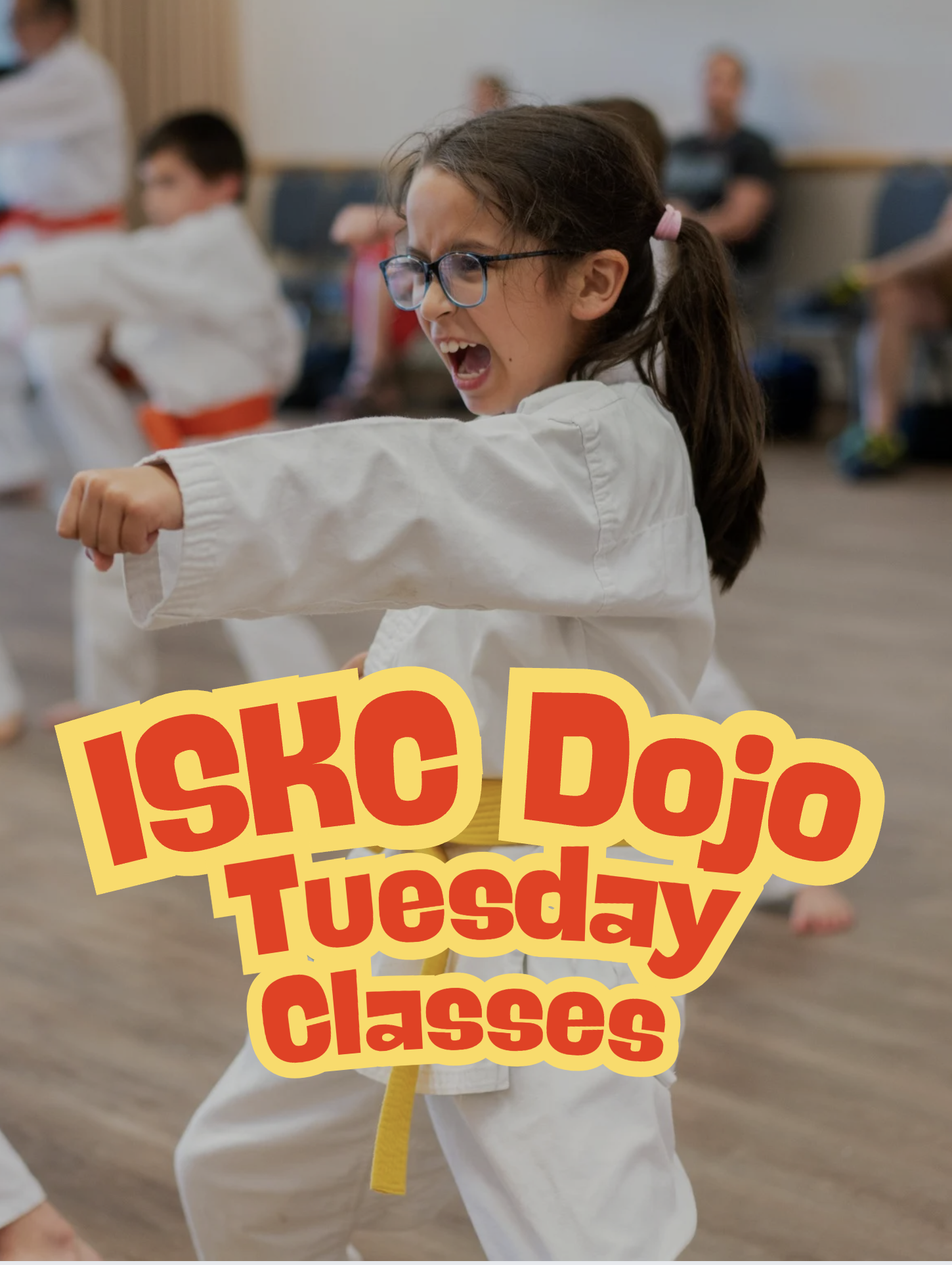 ISKC Palatine Dojo Class - Tuesday