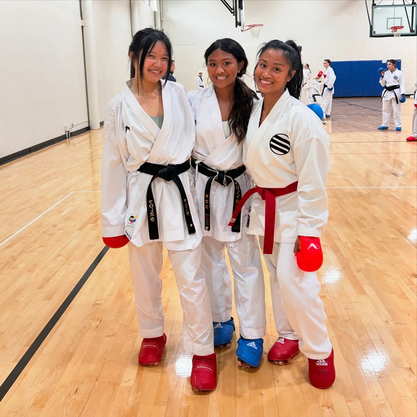 Kickin&rsquo; some butt and having fun tonight in class! #karate #shotokankarate #kumite #hoffmanestates #illinoisshotokankarate