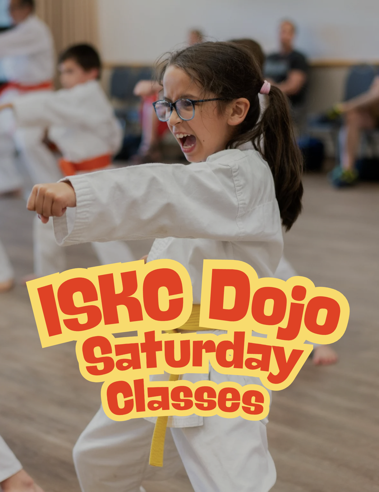 ISKC Palatine Dojo Class - Saturday