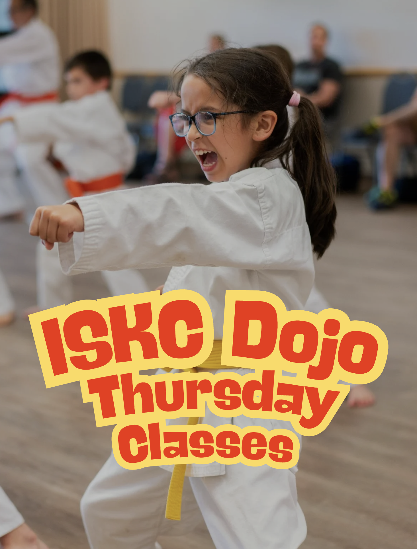 ISKC Palatine Dojo Class - Thursday