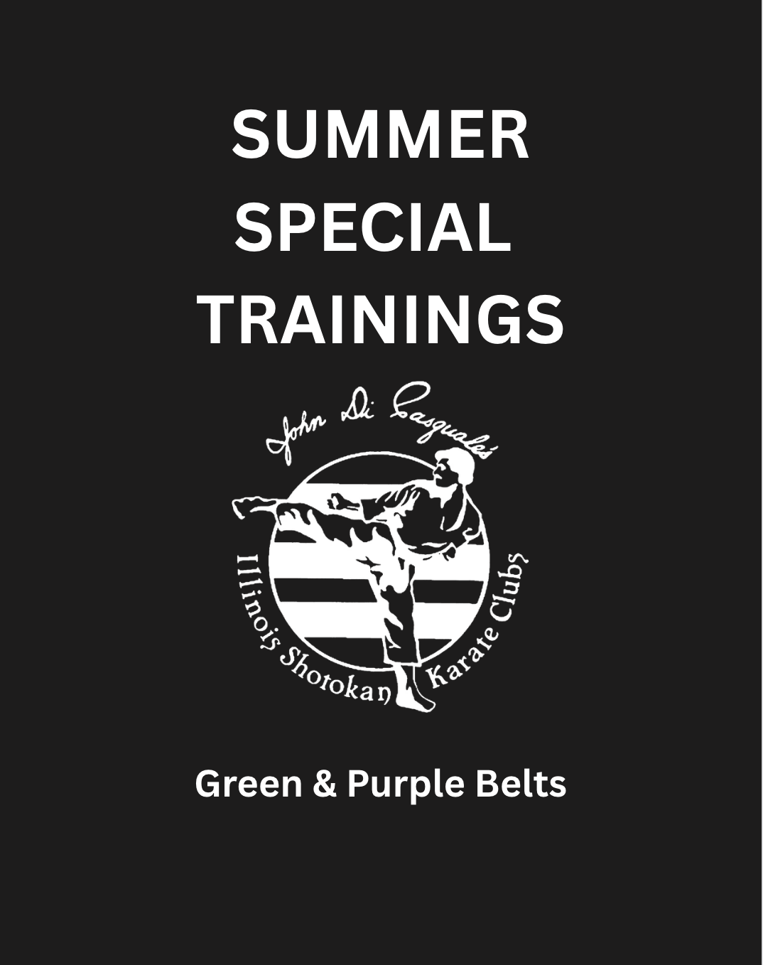 Intermediate Kata/Kumite Summer Special Training