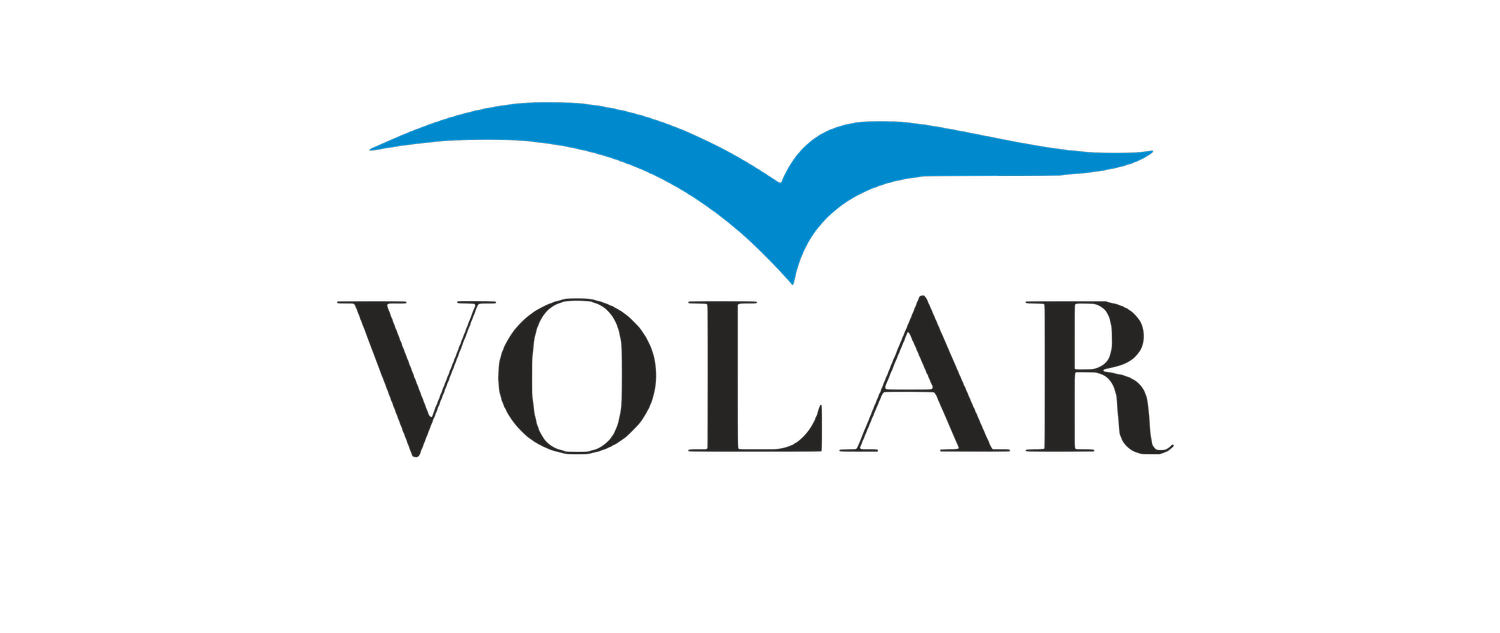 Michelle Cantor (Volar Consulting)