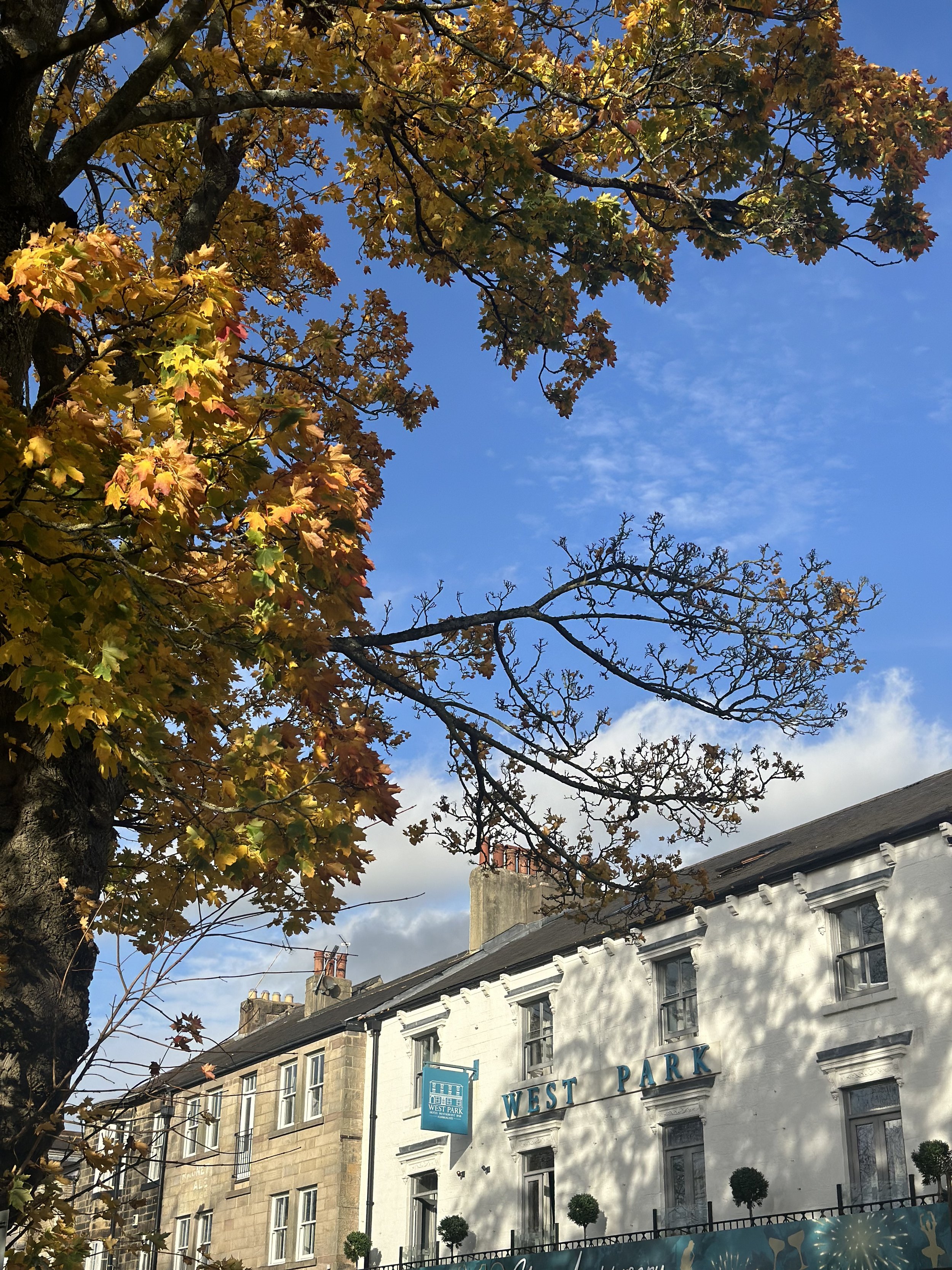 West_Park_Hotel_Harrogate_09.jpeg