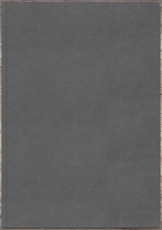 Digital BuJo v.3.0-SP-NL.001.jpeg