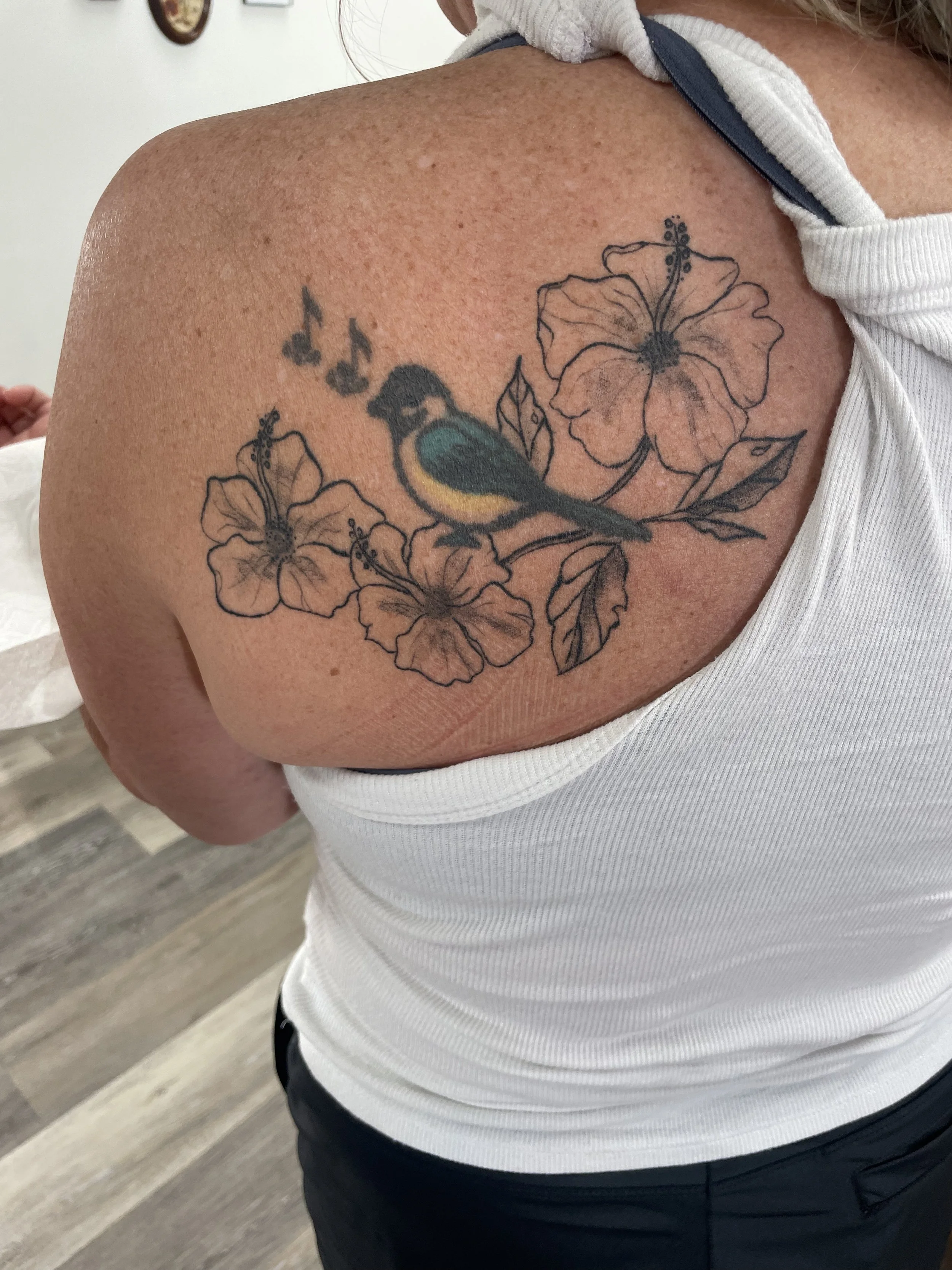 Hibiscus Ready for Color
