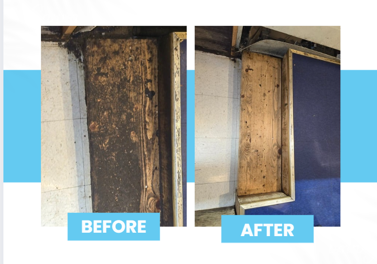 Screenshot 2025-08-06 173256.png