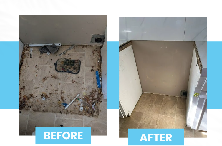 Screenshot 2025-08-06 173228.png