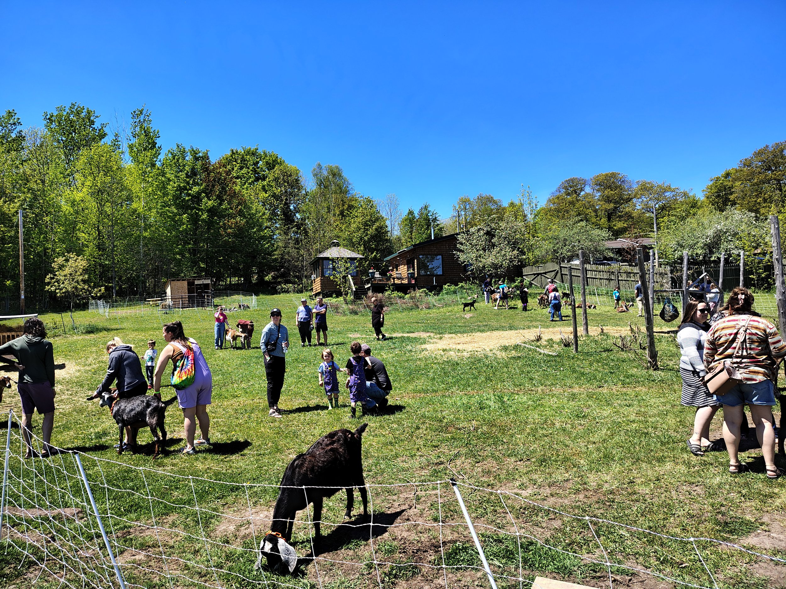 IMG_20260530_141023100_HDR.jpg