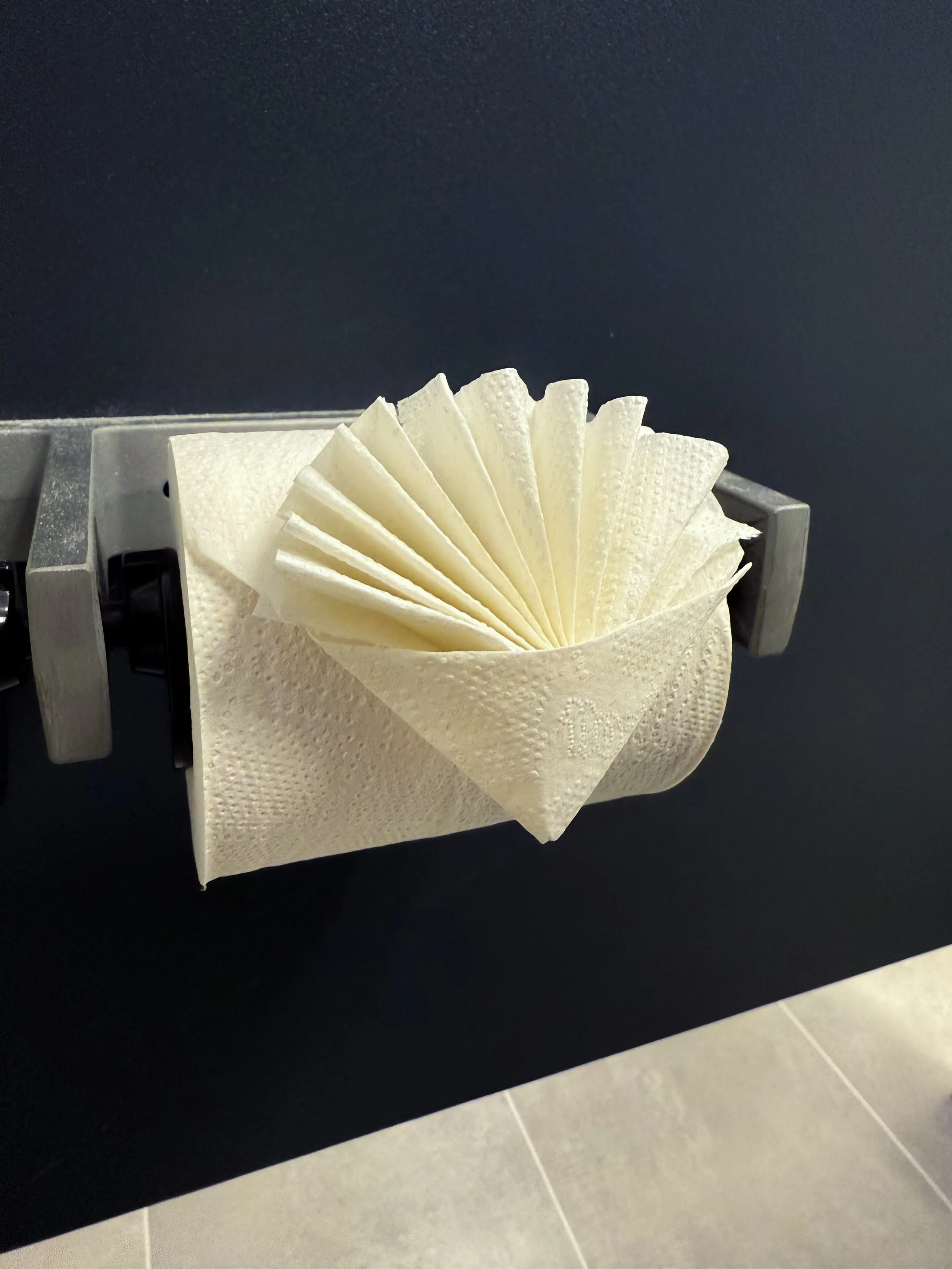 toilet paper fan fold.jpeg