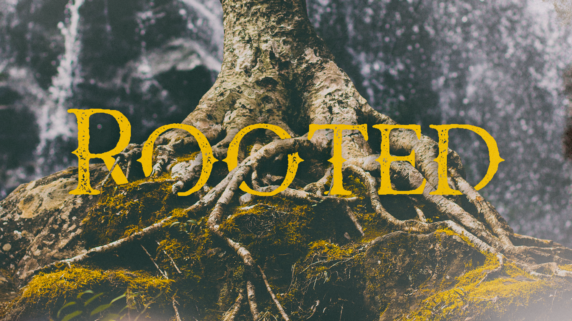Rooted Main HD TItle Slide.png