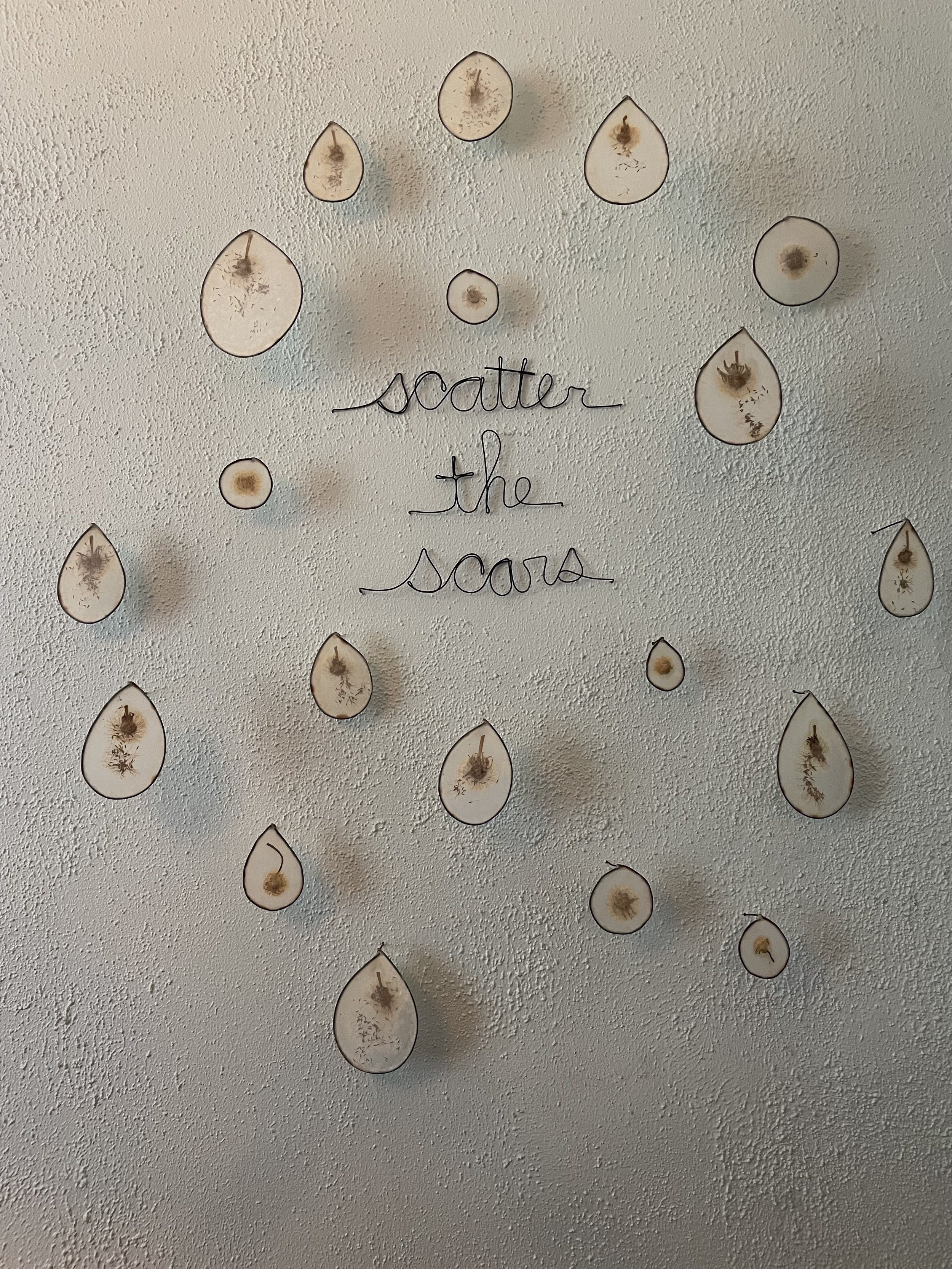 Scatter+the+Scars.jpg