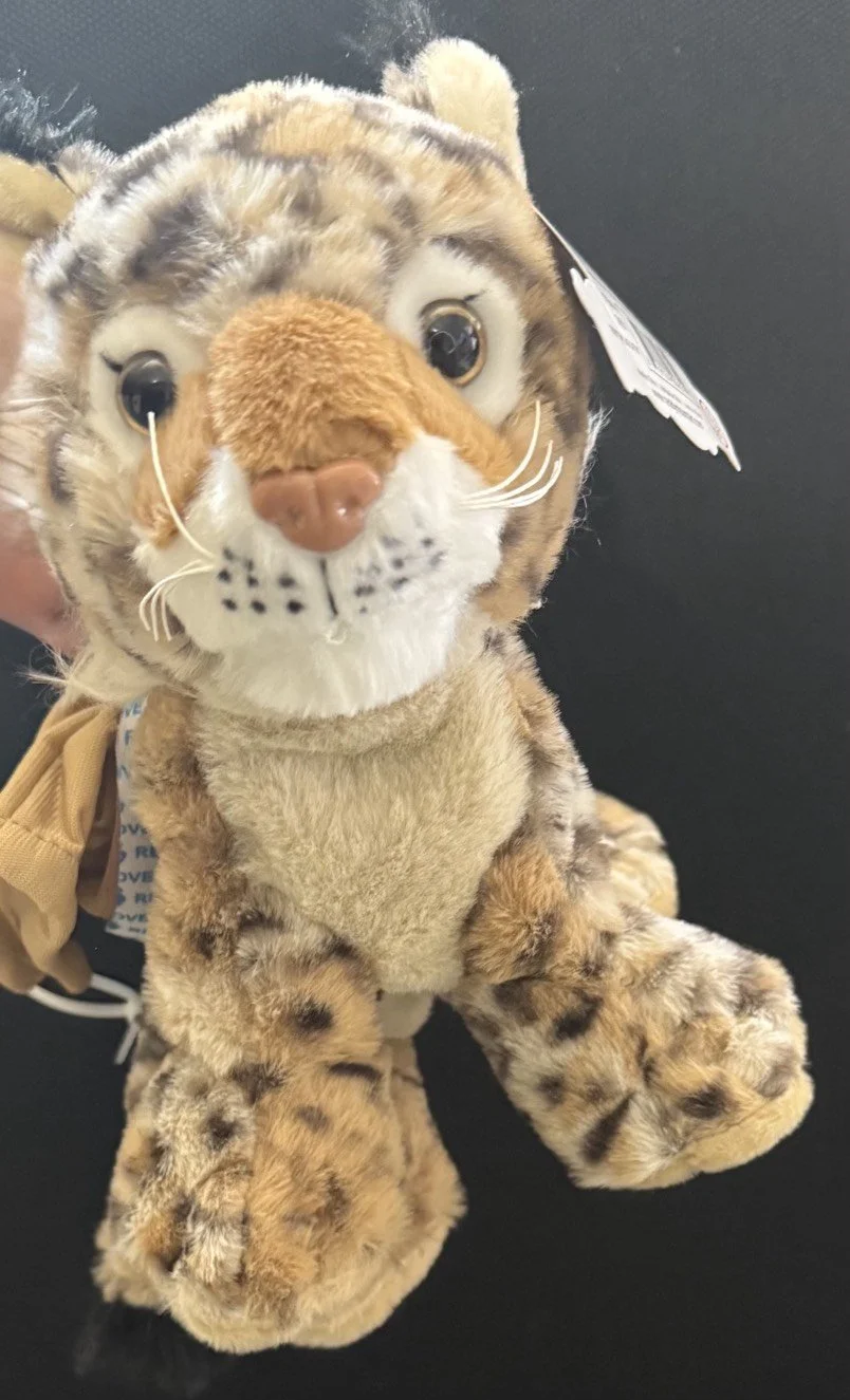 16in Build-A-Bobcat.jpeg