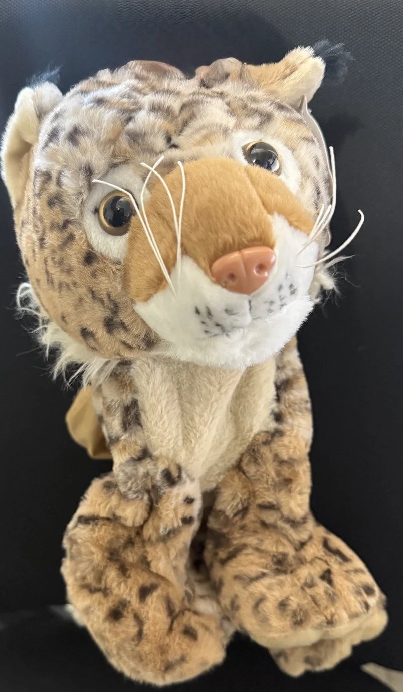 8in Build-A-Bobcat.jpeg