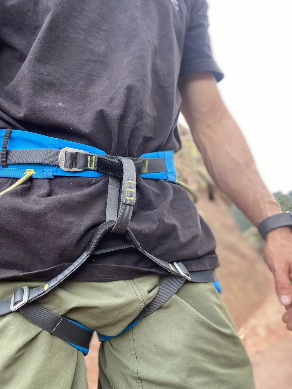 Harness check