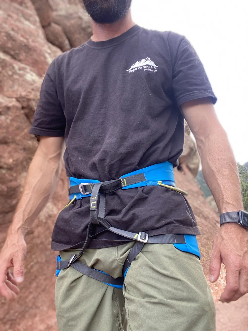 Harness check