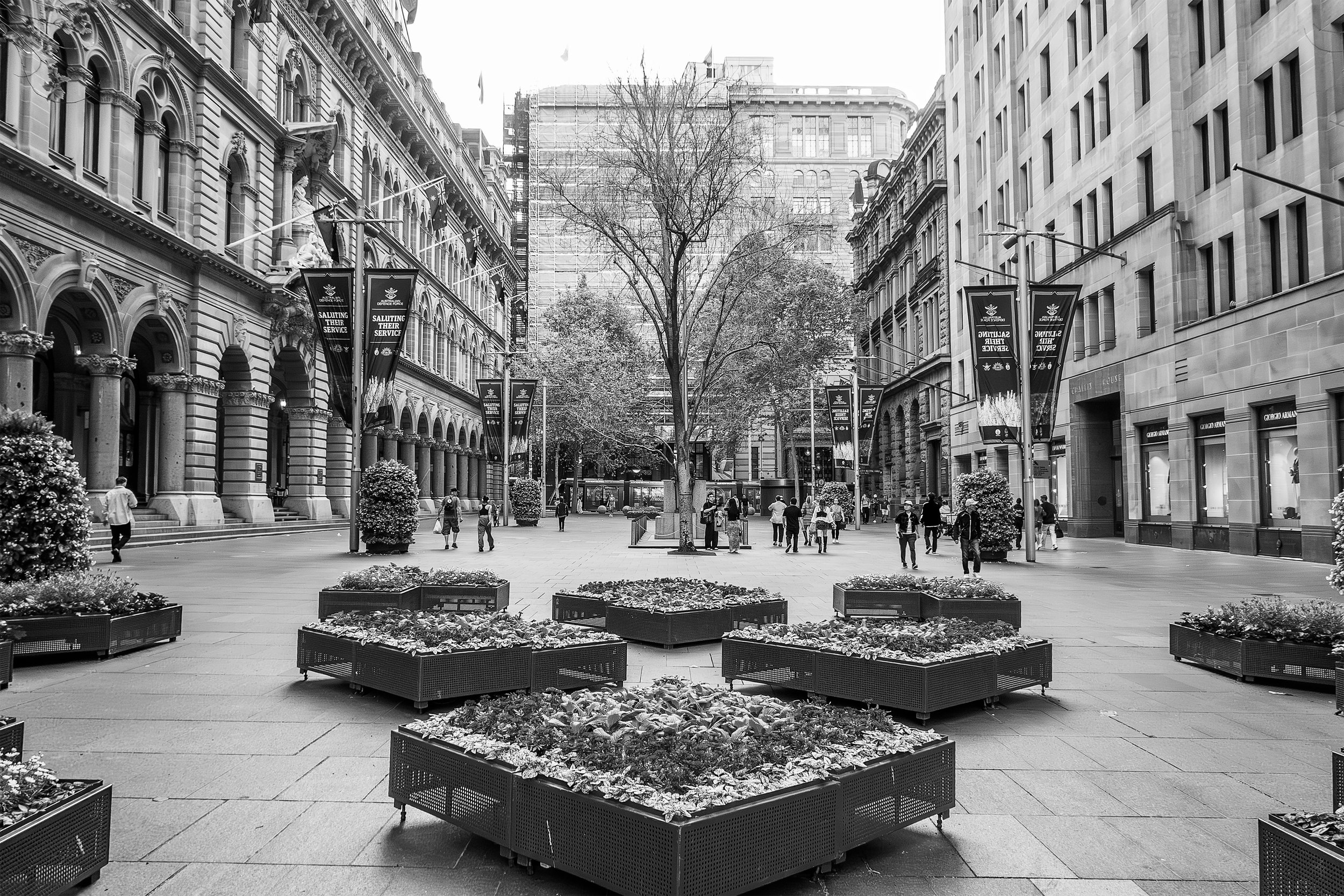 Martin Plave B&W.jpg