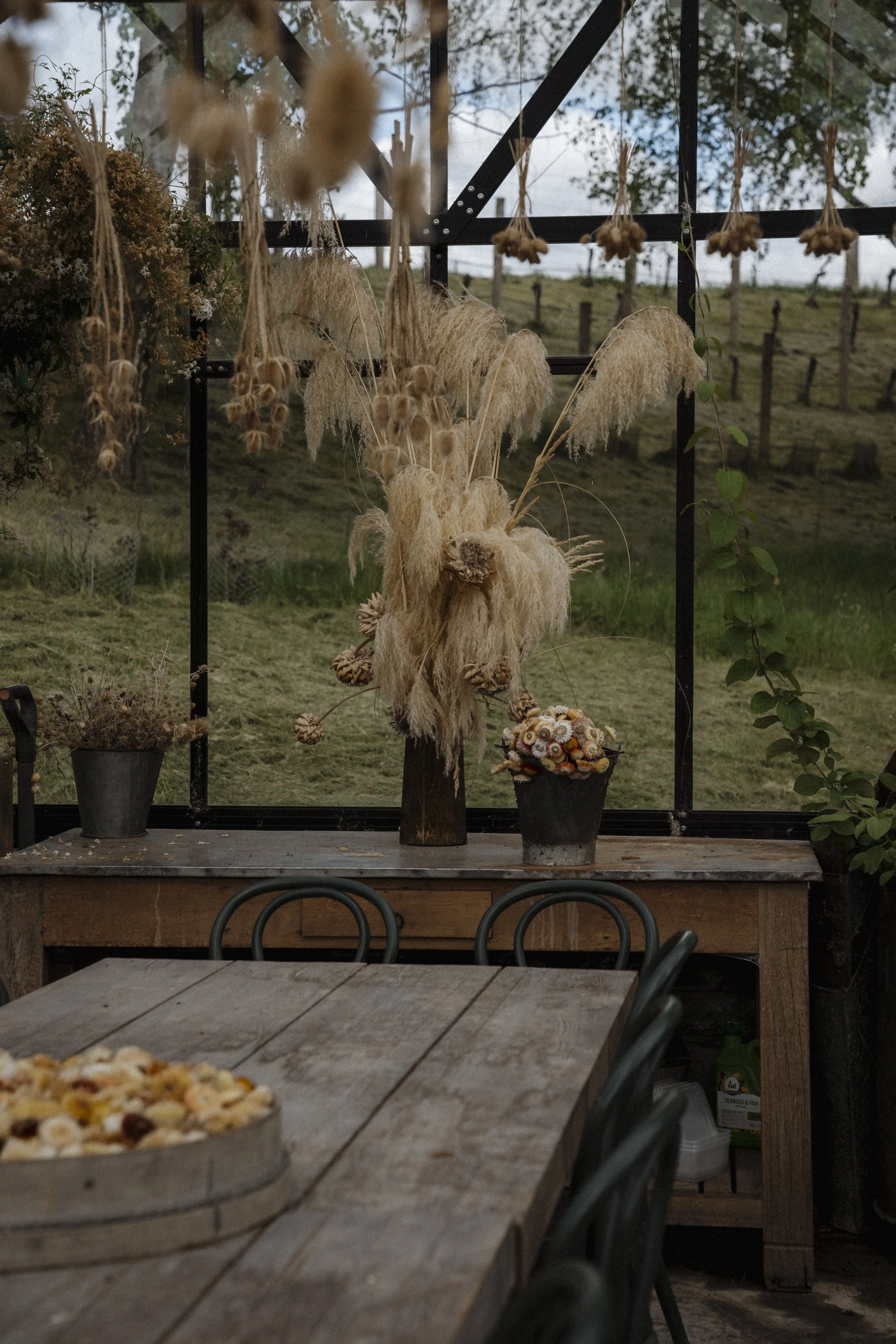 New Zealand-743733.jpg