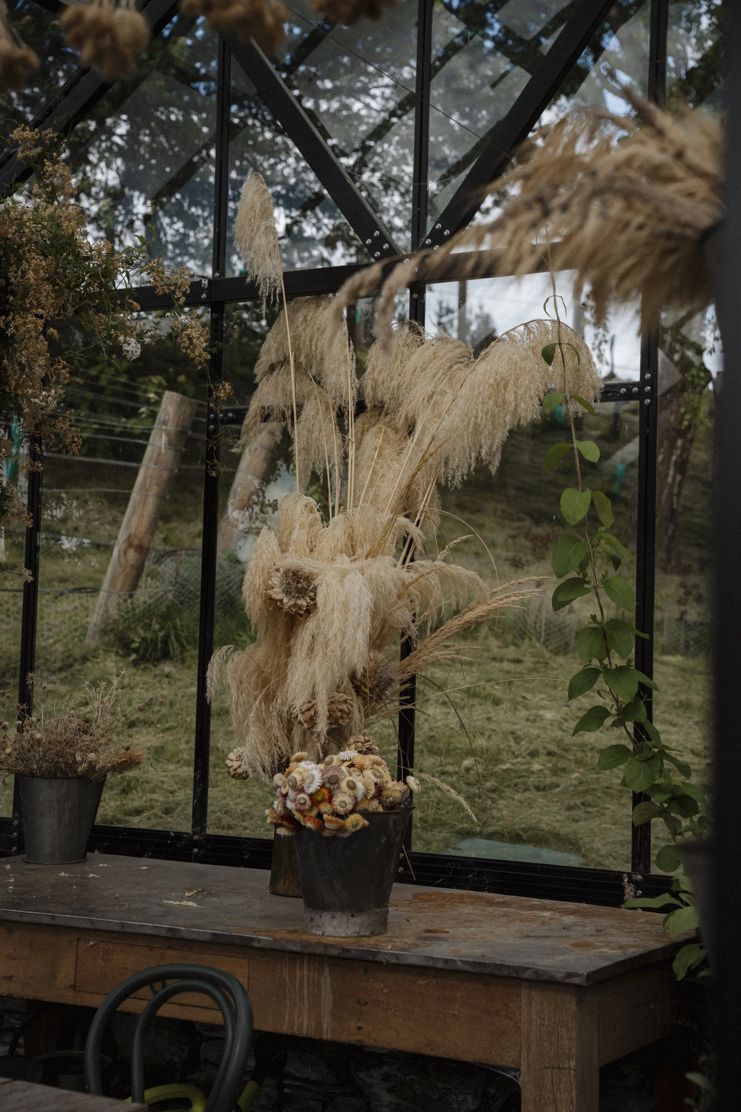 New Zealand-743723.jpg