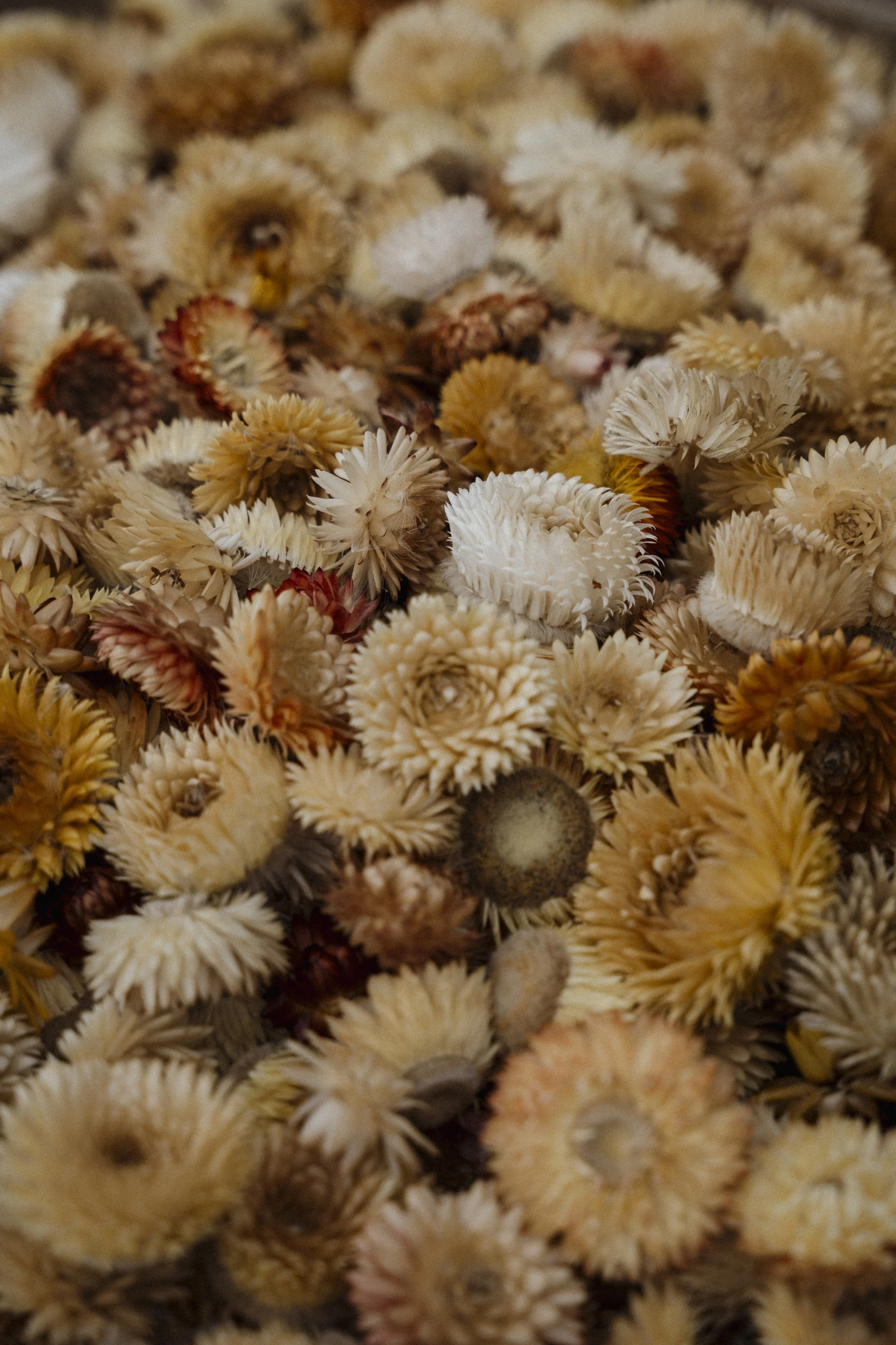 New Zealand-743728.jpg