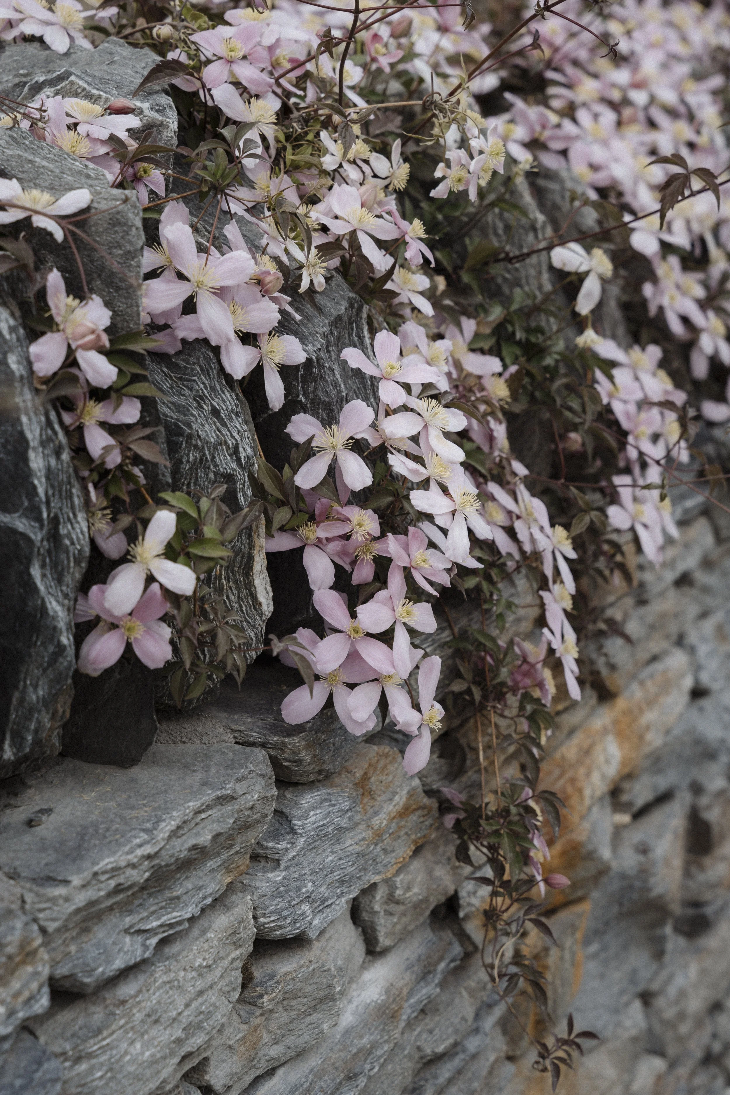 New Zealand-743698.jpg