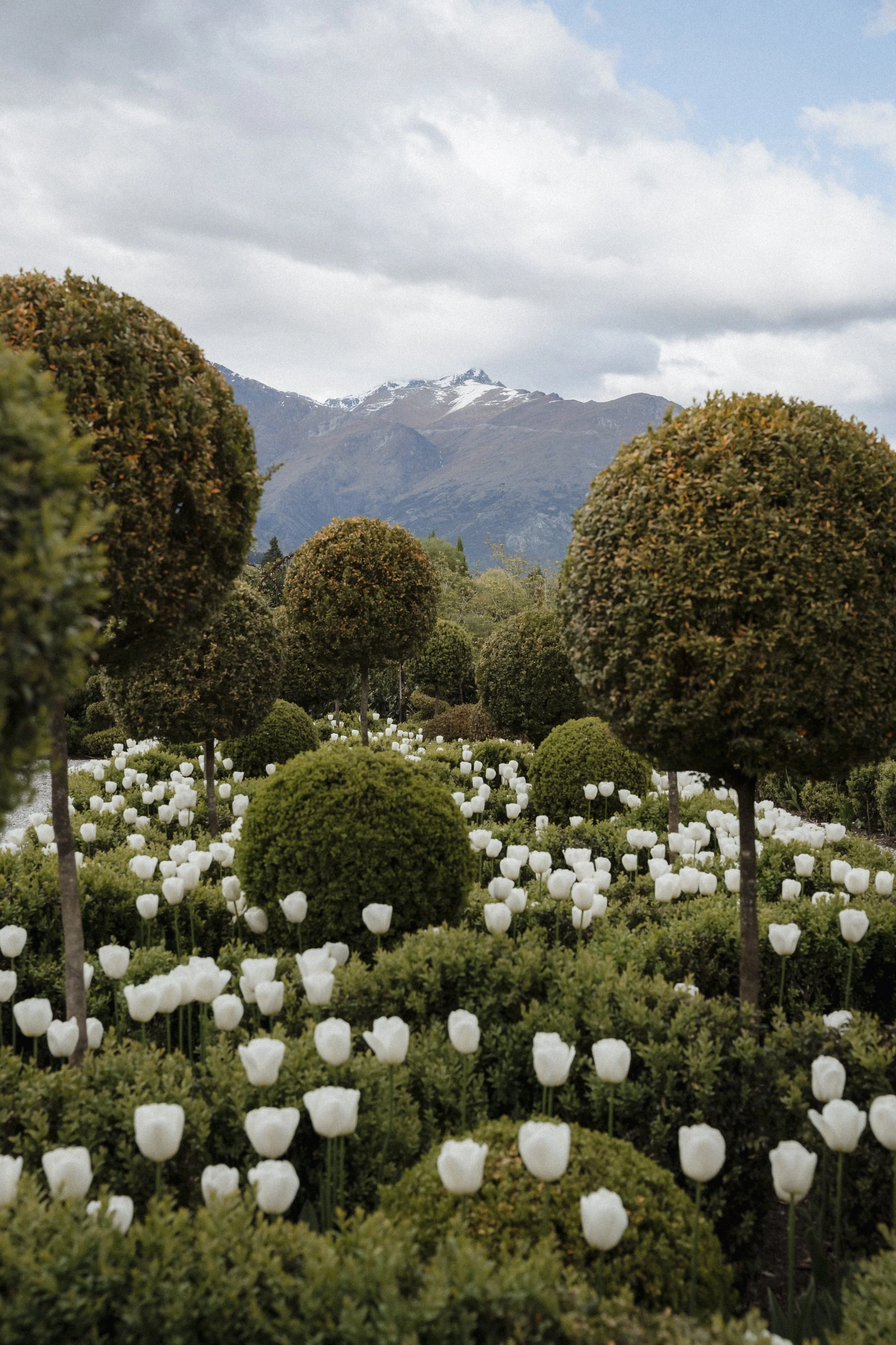 New Zealand-743684.jpg