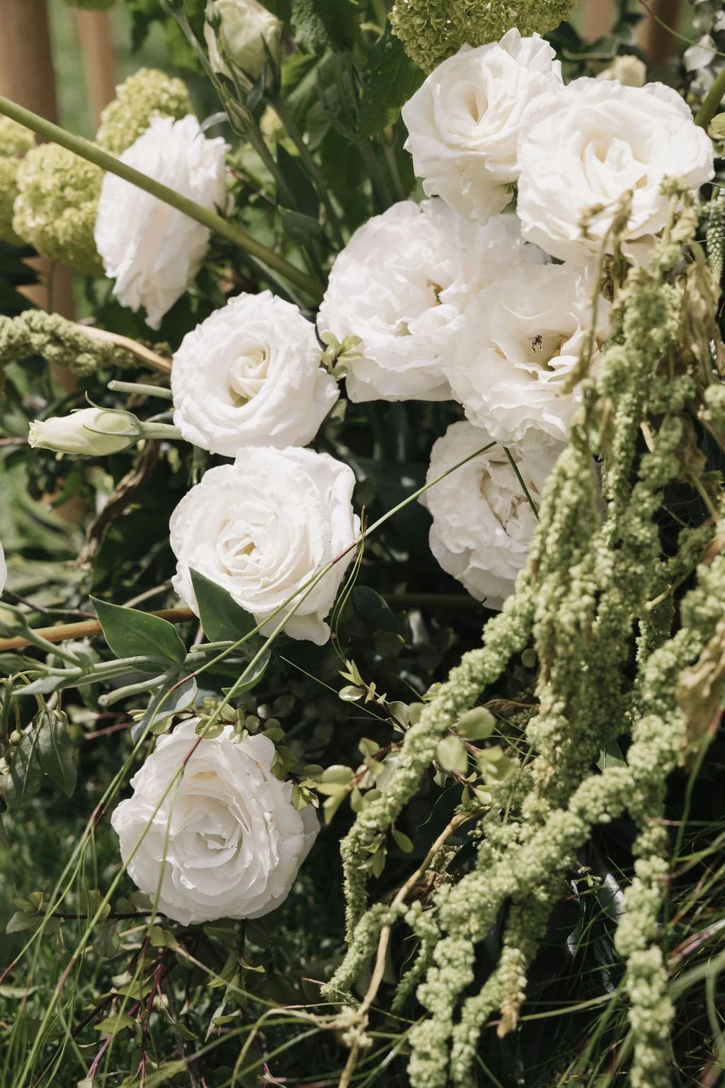 SarahBradfordPhotography-740450.jpg