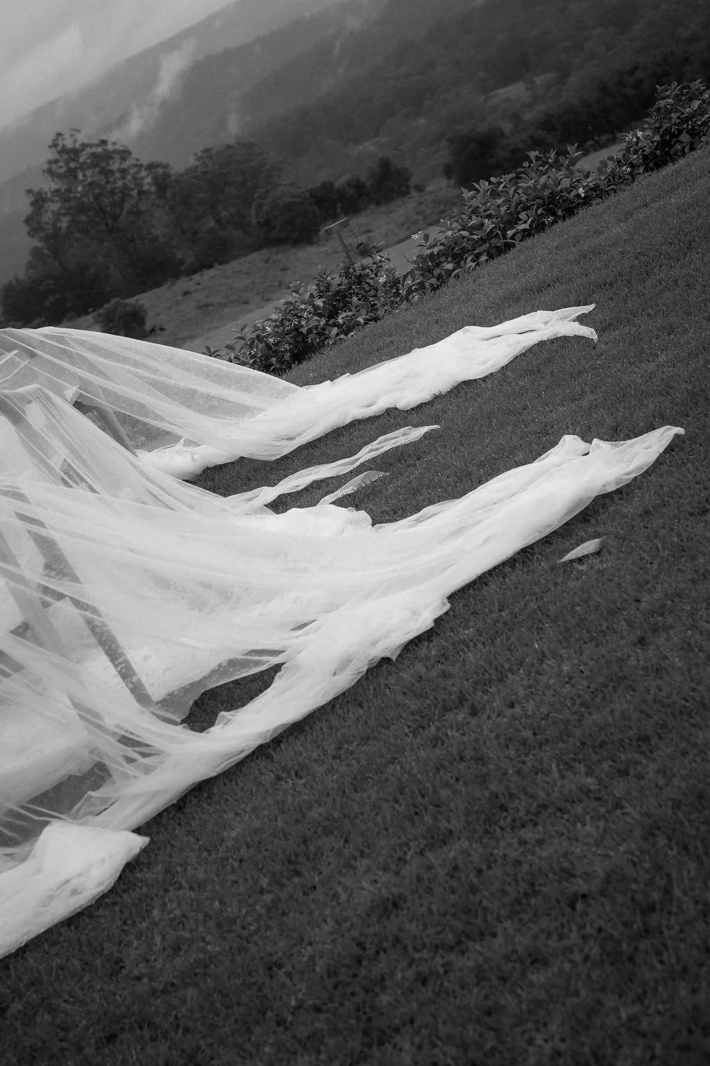 SarahBradfordPhotography-740586.jpg