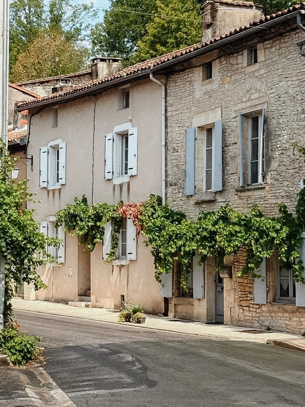 France-7.jpg
