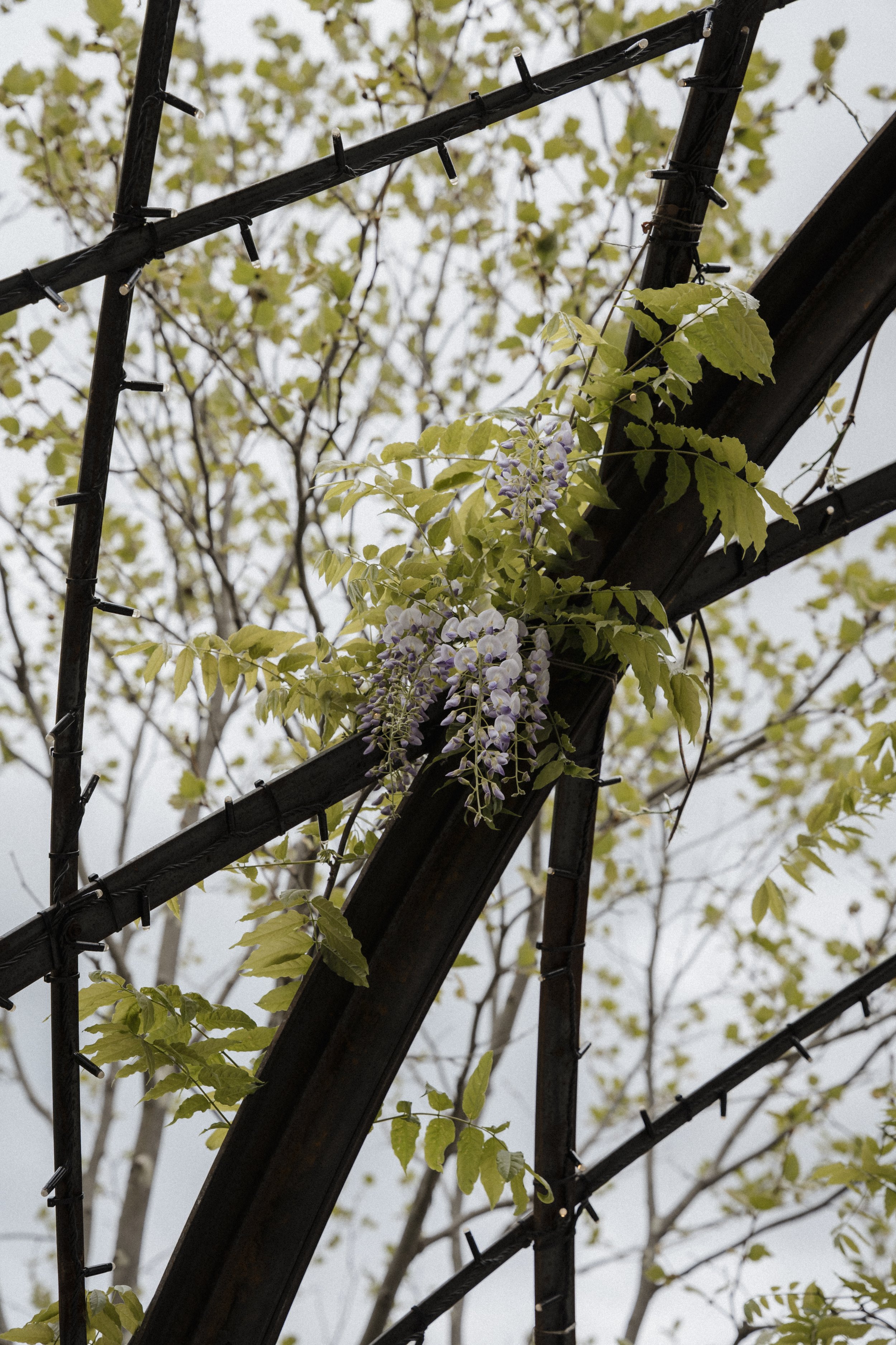 New Zealand-743781.jpg