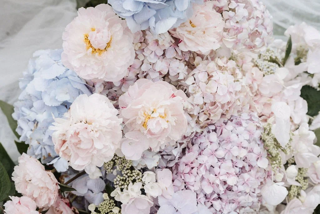 SarahBradfordPhotography-740592.jpg