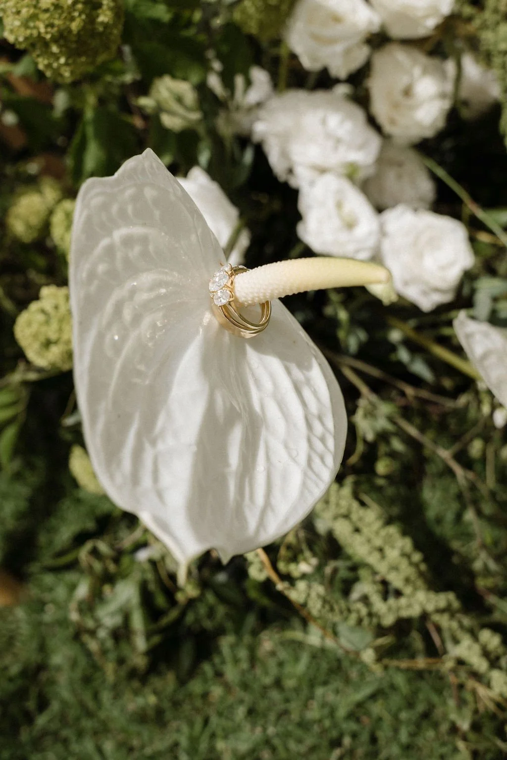 SarahBradfordPhotography-740494.jpg