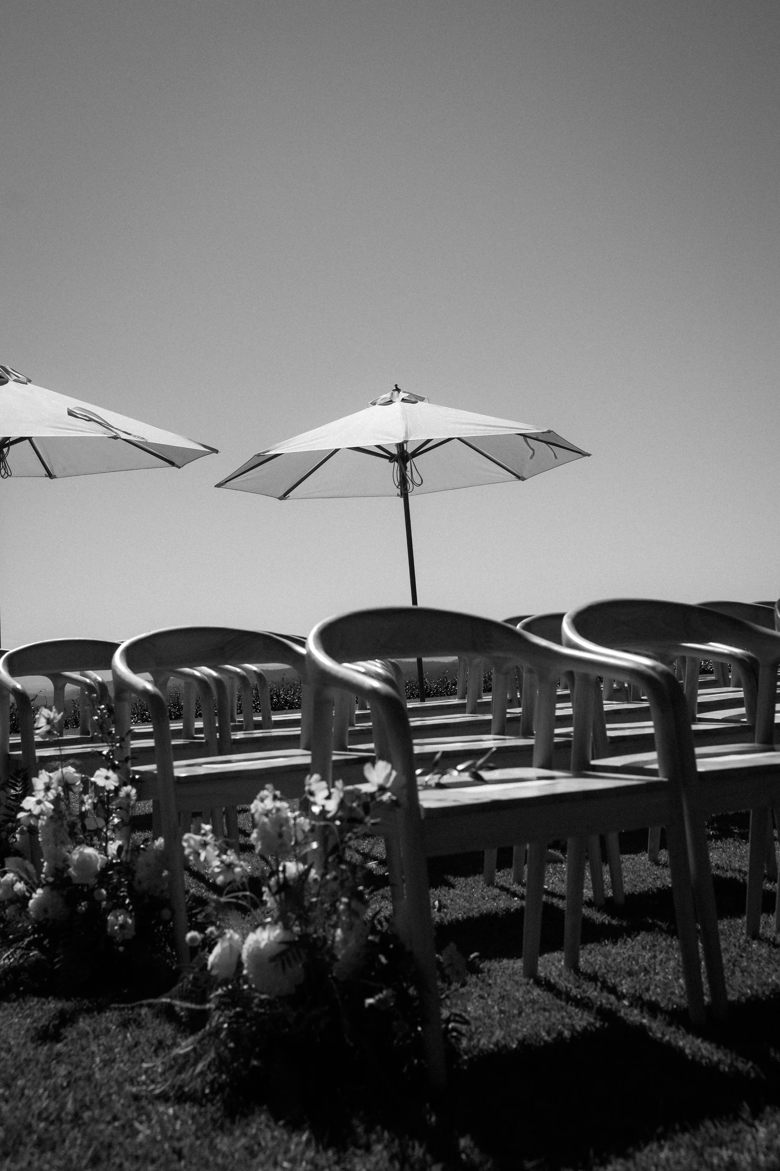 Sarah Bradford Photography-742831.jpg
