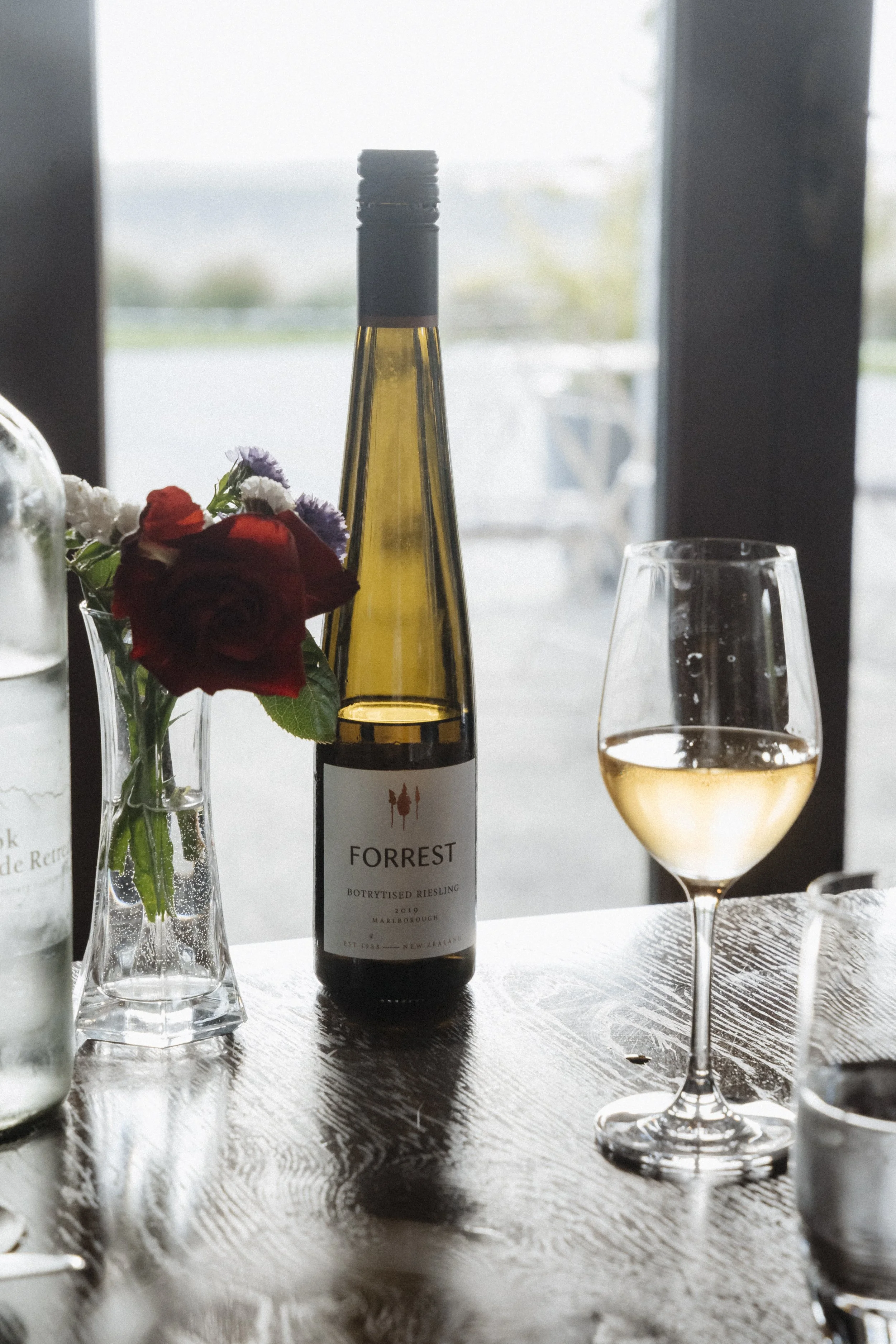 New Zealand-740221.jpg