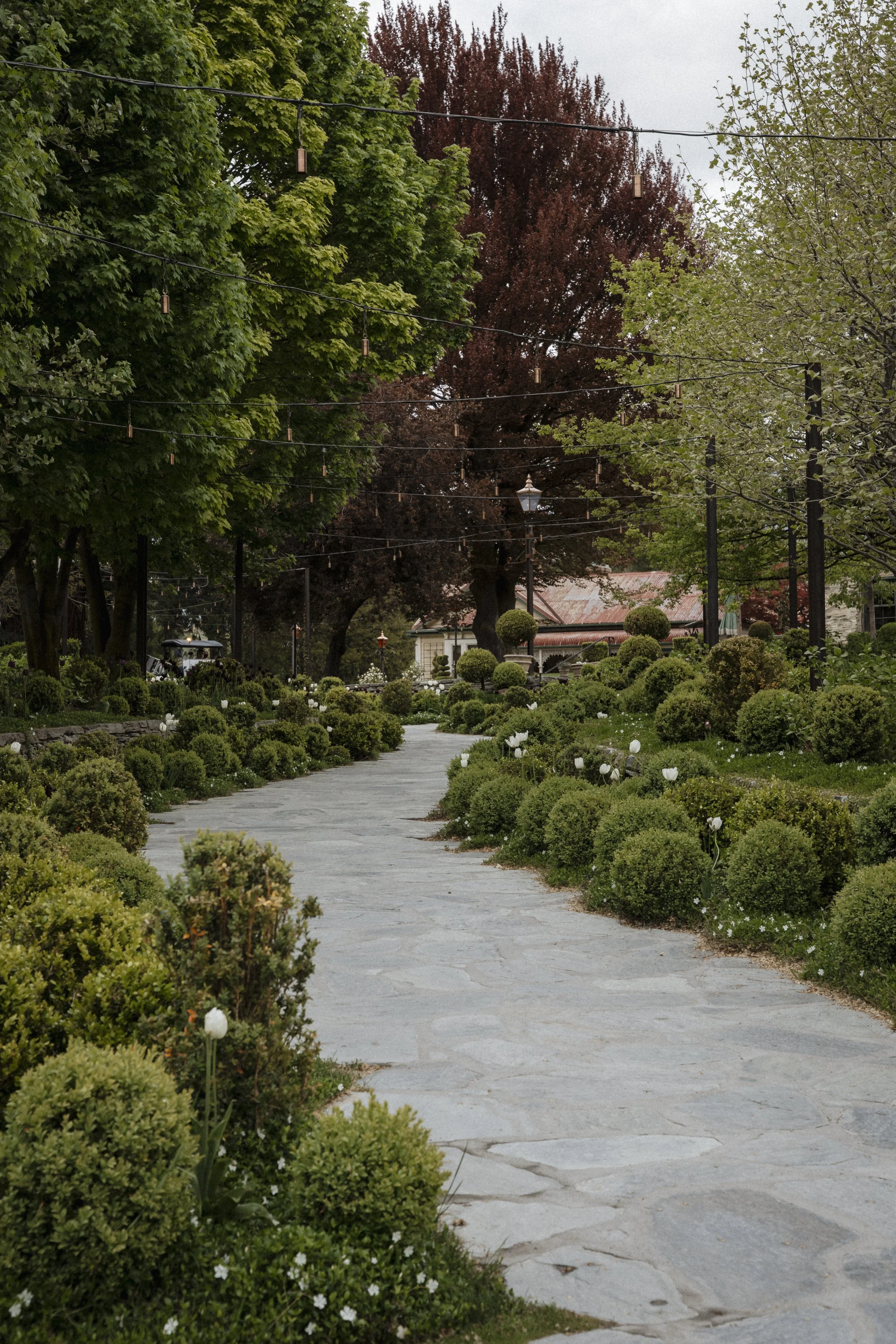 New Zealand-743628.jpg