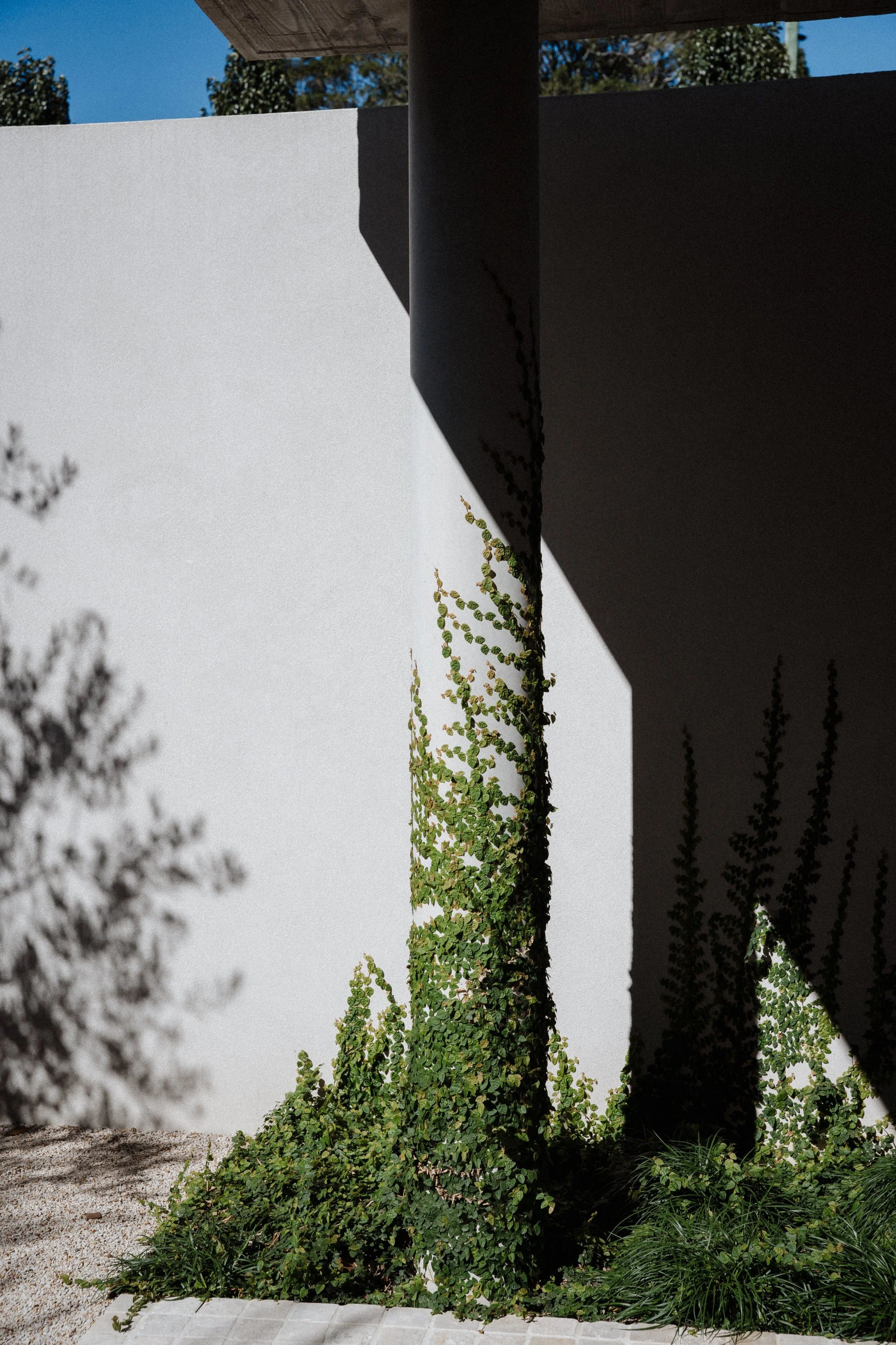 Sarah Bradford Photography-742719.jpg