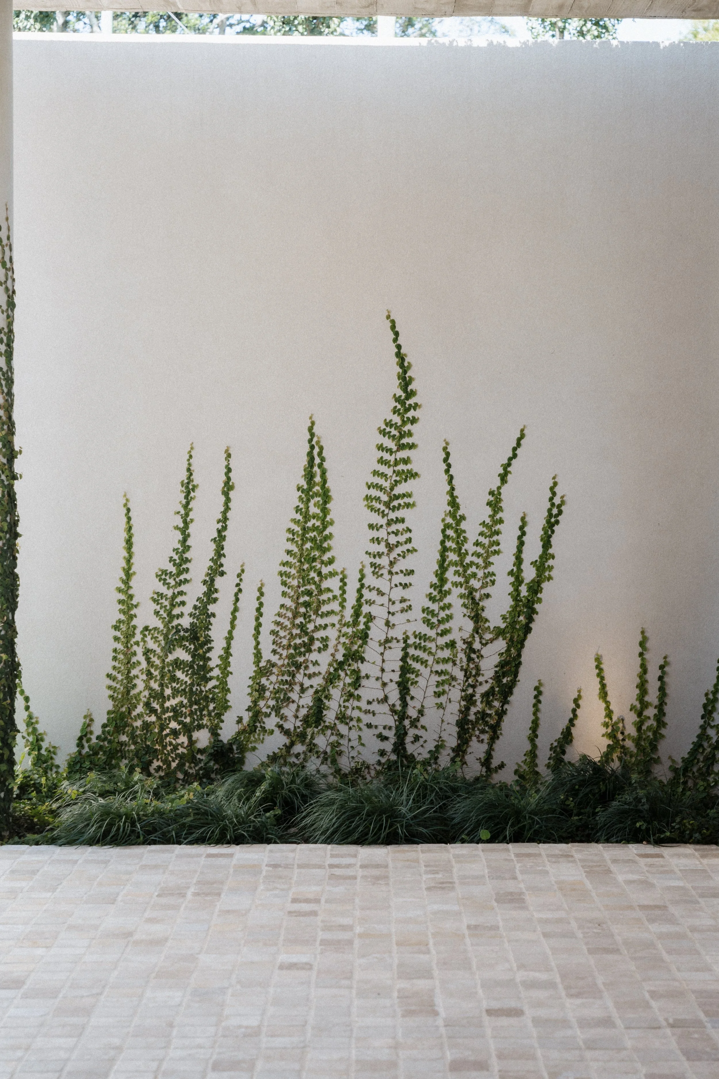 Sarah Bradford Photography-742866.jpg