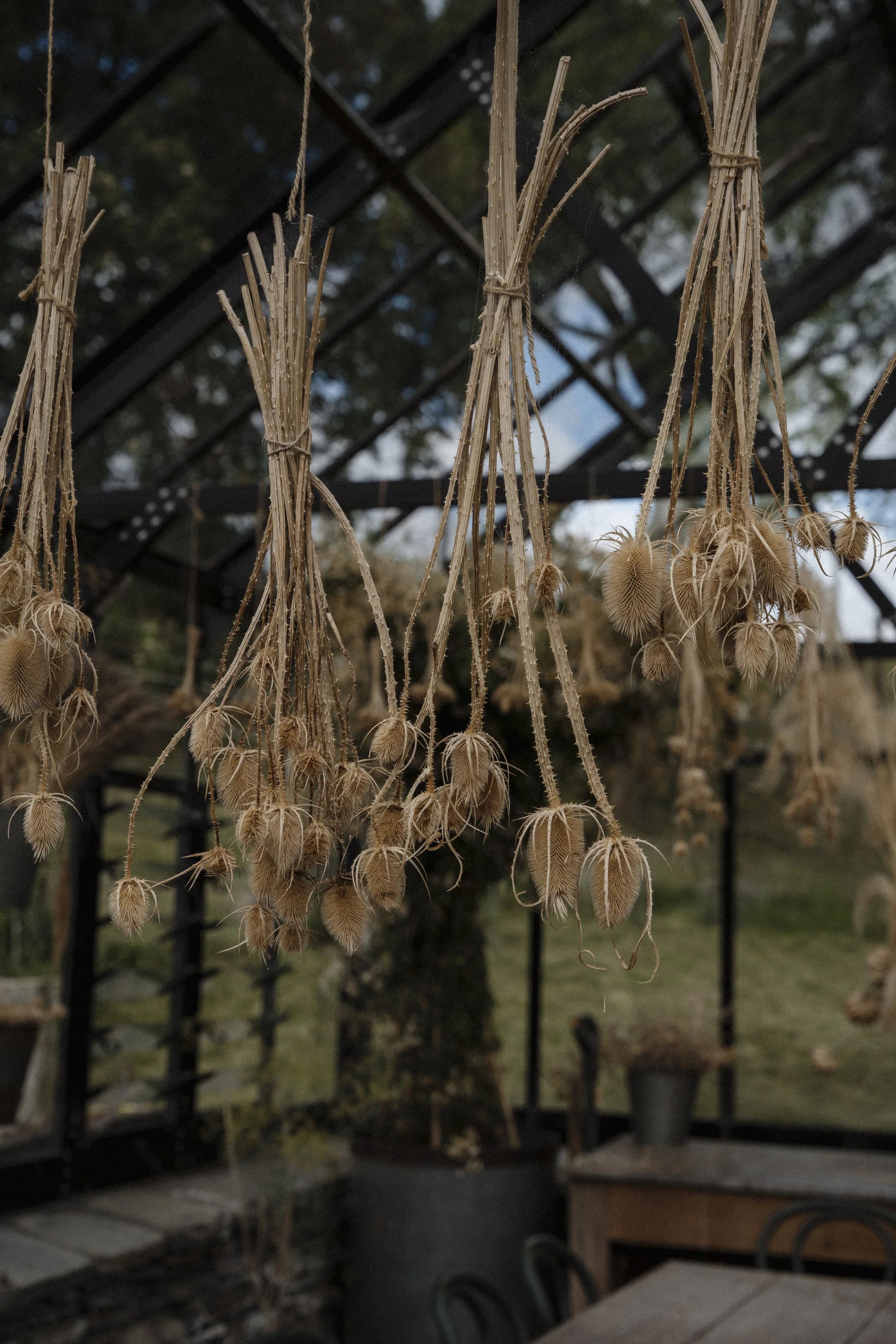 New Zealand-743726.jpg