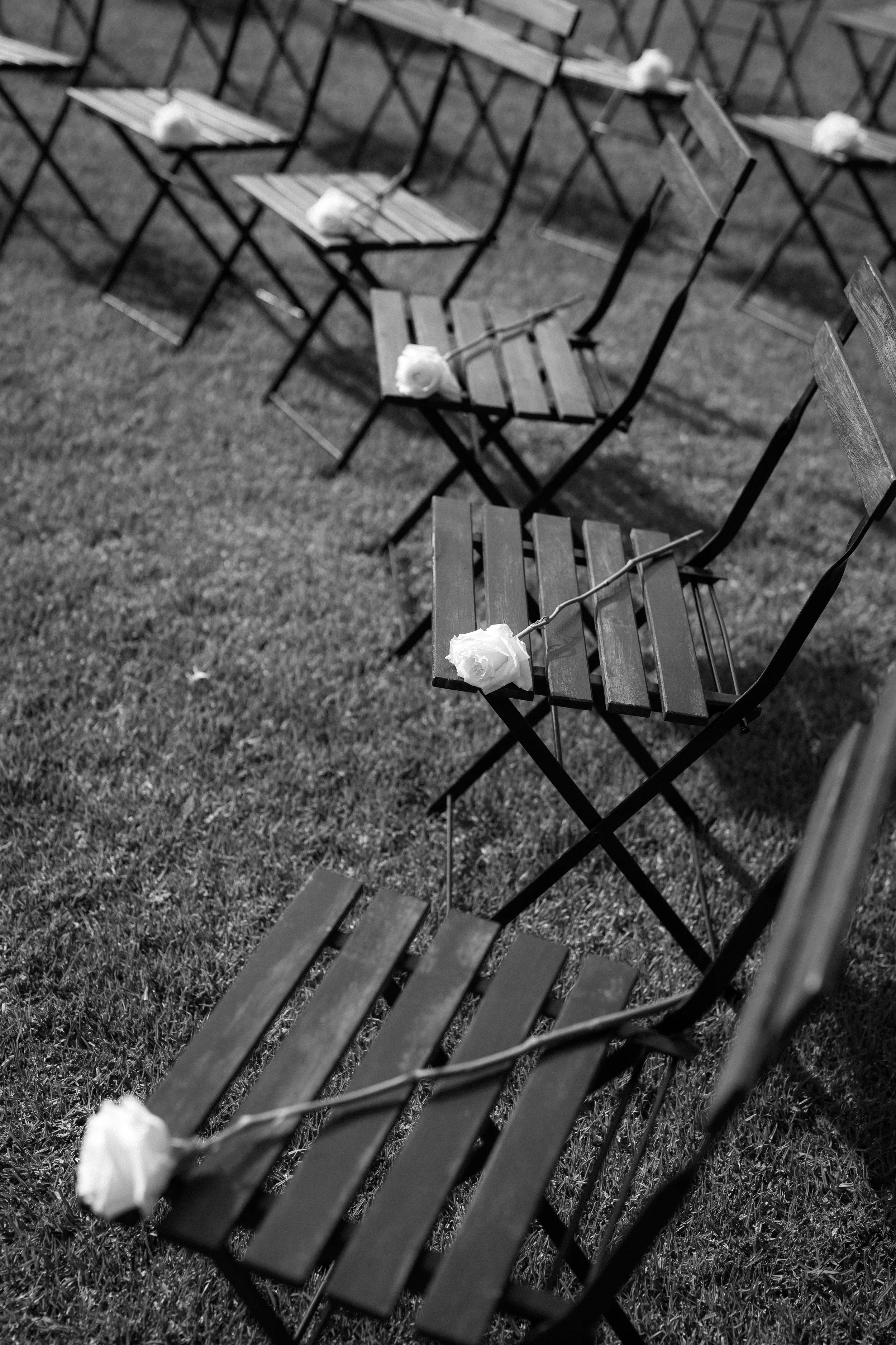 Sarah Bradford Photography-01342.jpg