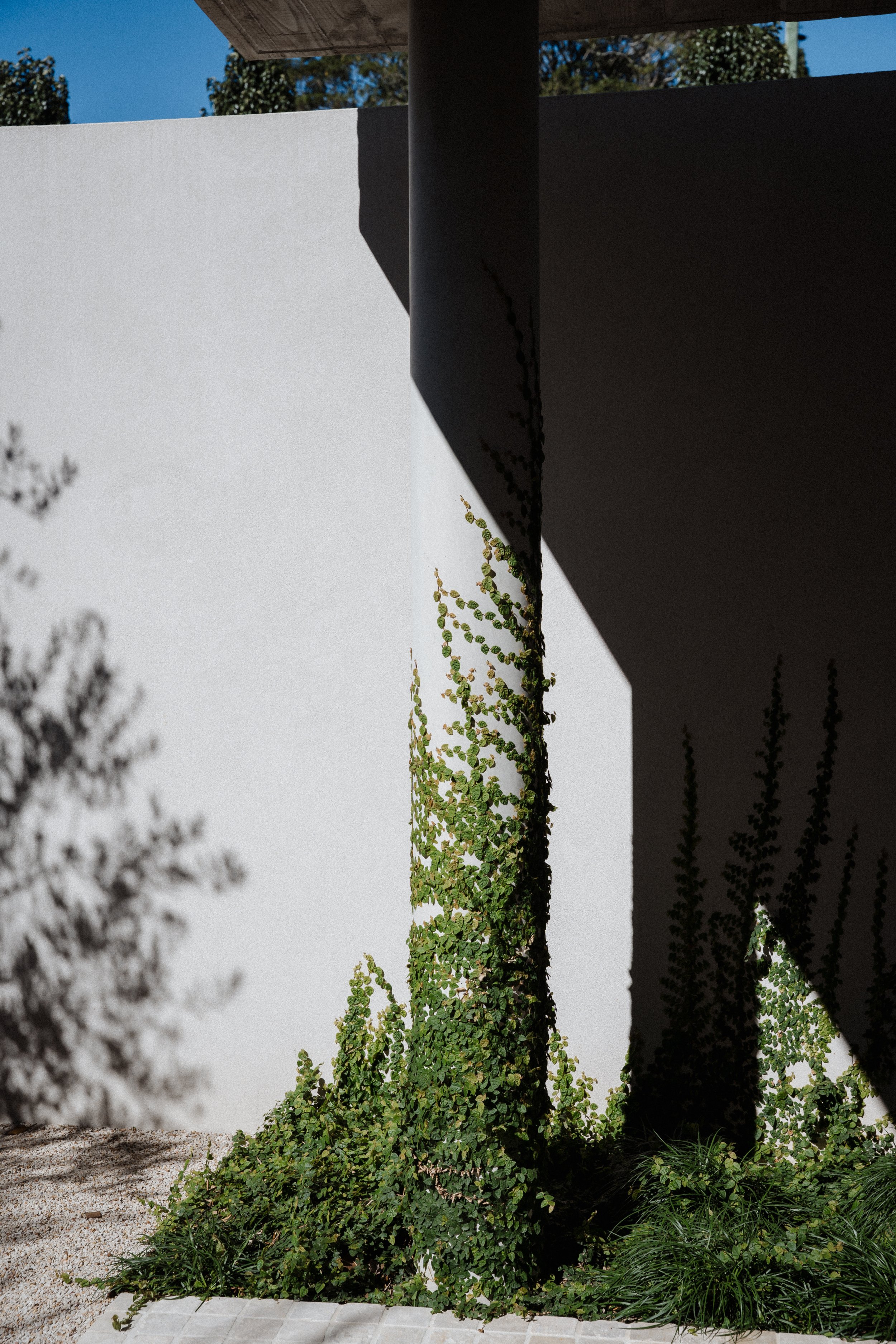 Sarah Bradford Photography-742719.jpg