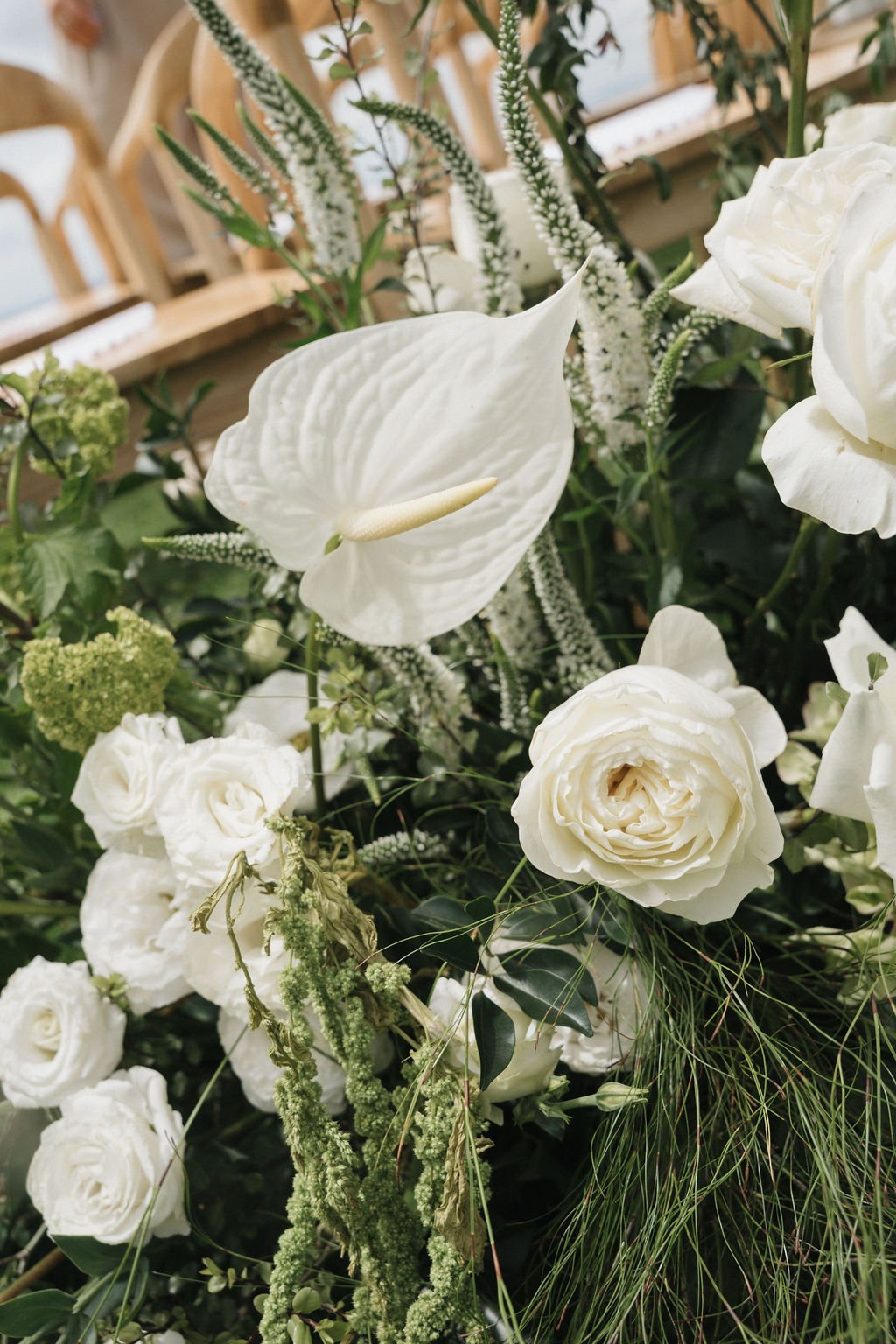 SarahBradfordPhotography-740447.jpg