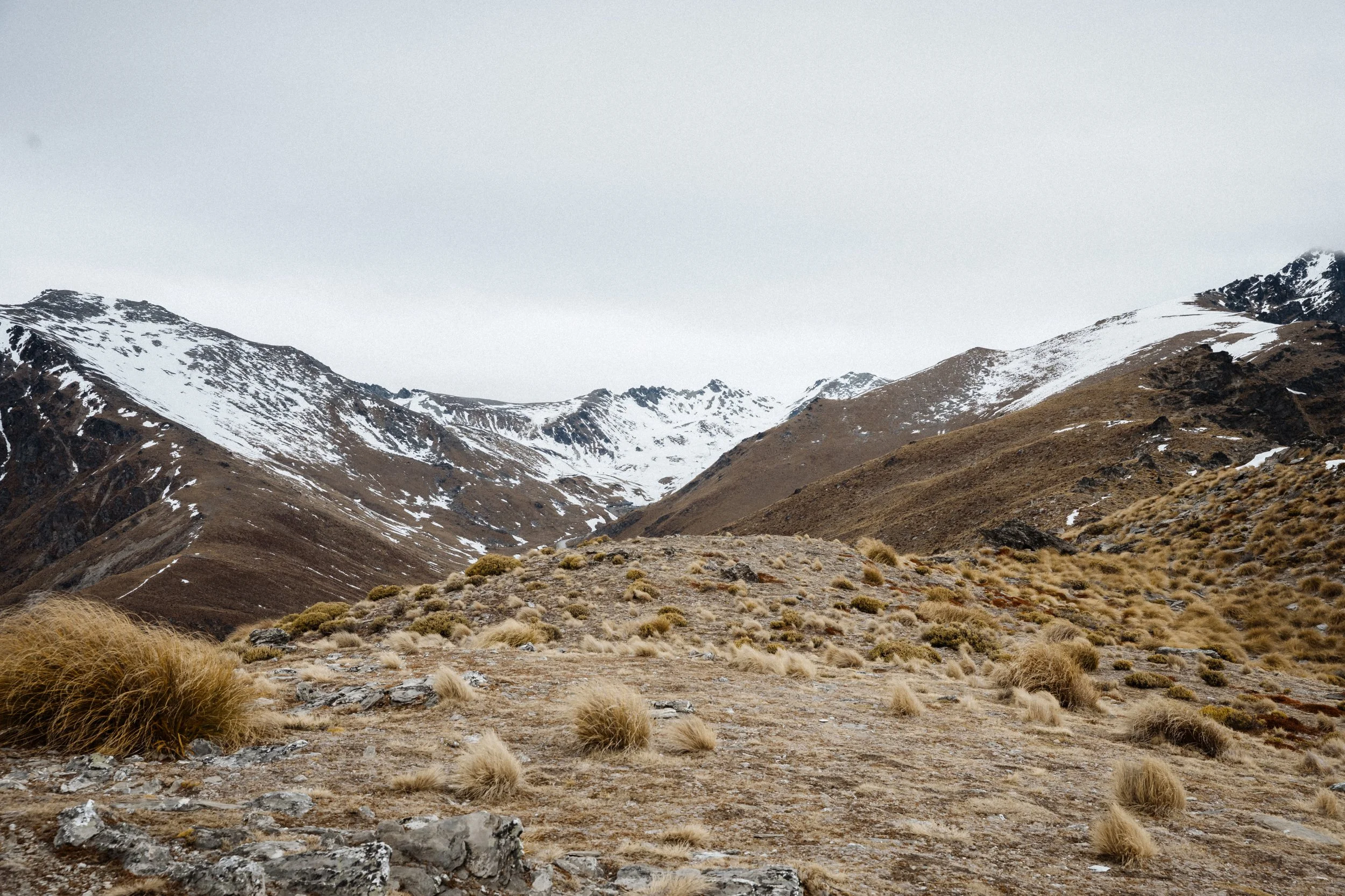 Sarah Bradford Photography-740456.jpg