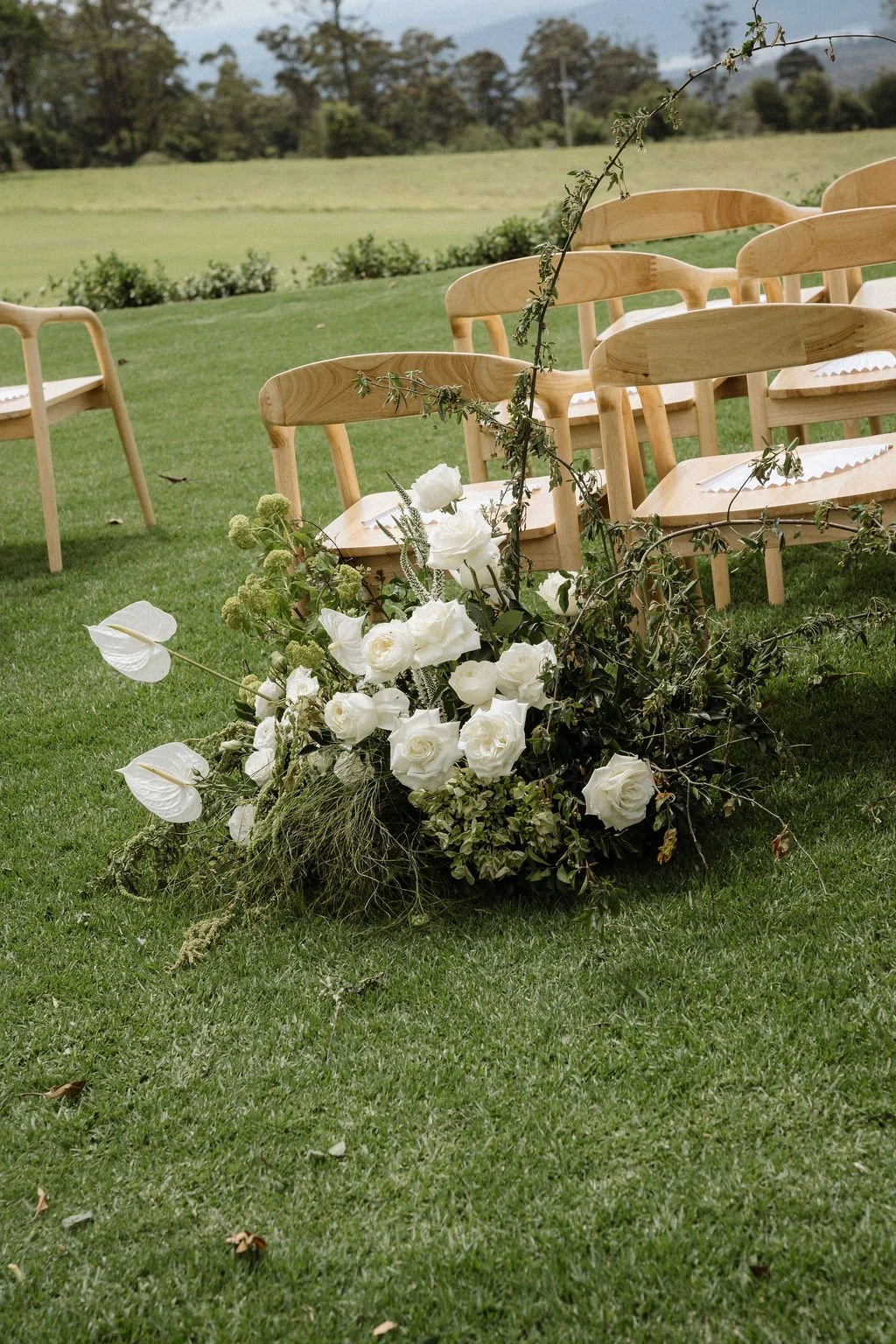 SarahBradfordPhotography-740465.jpg