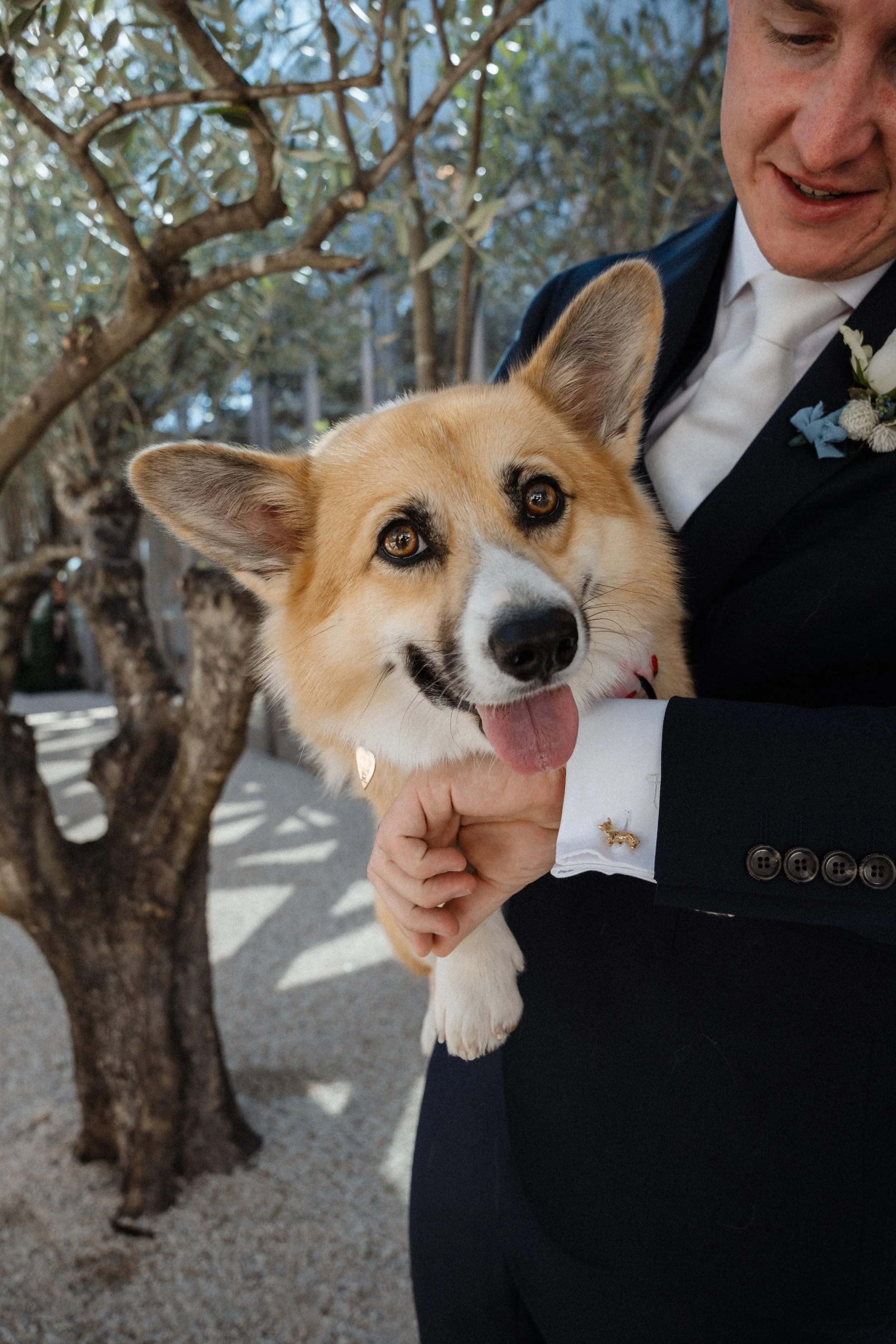 Sarah Bradford Photography-744087.jpg
