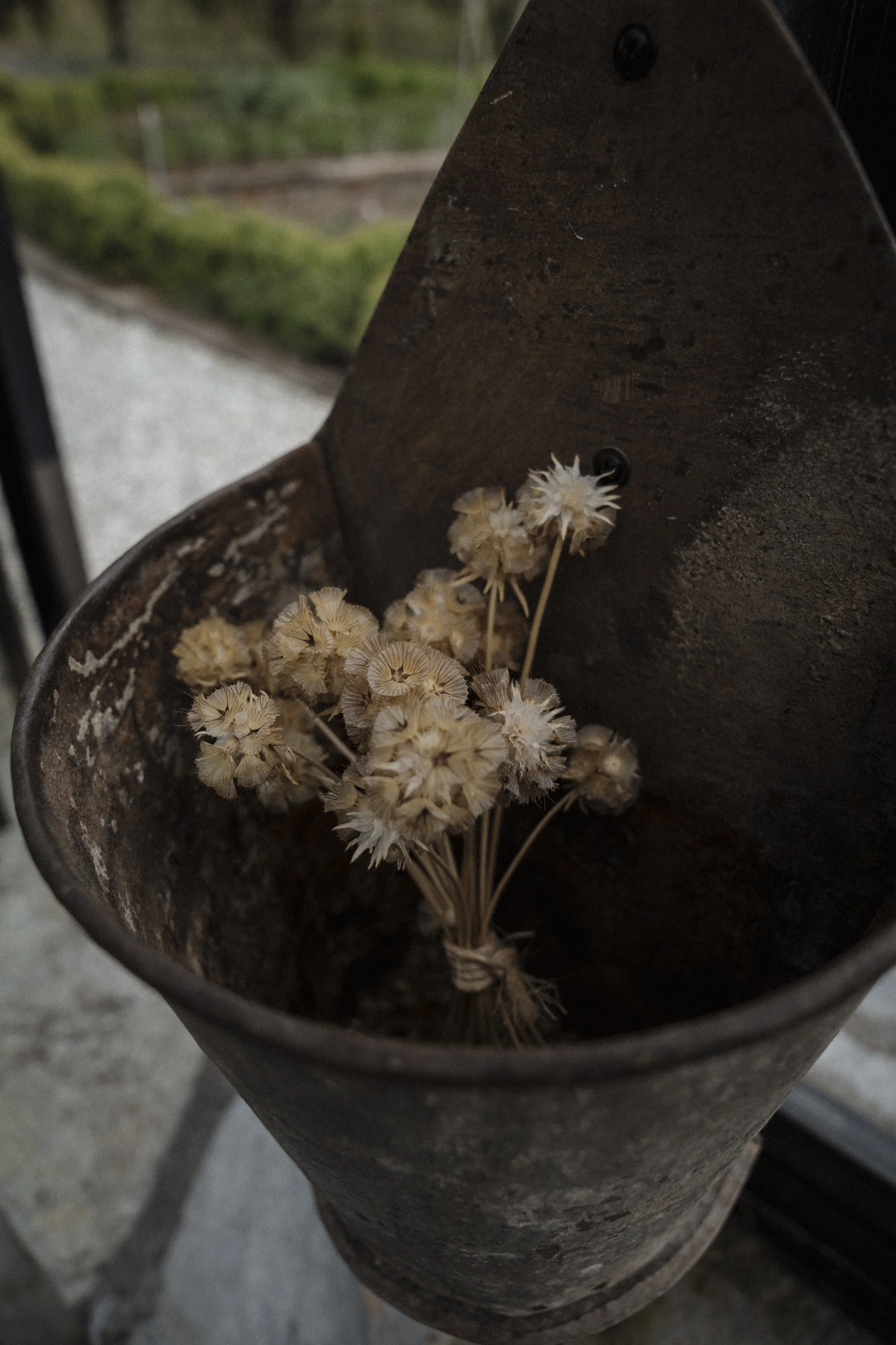 New Zealand-743730.jpg