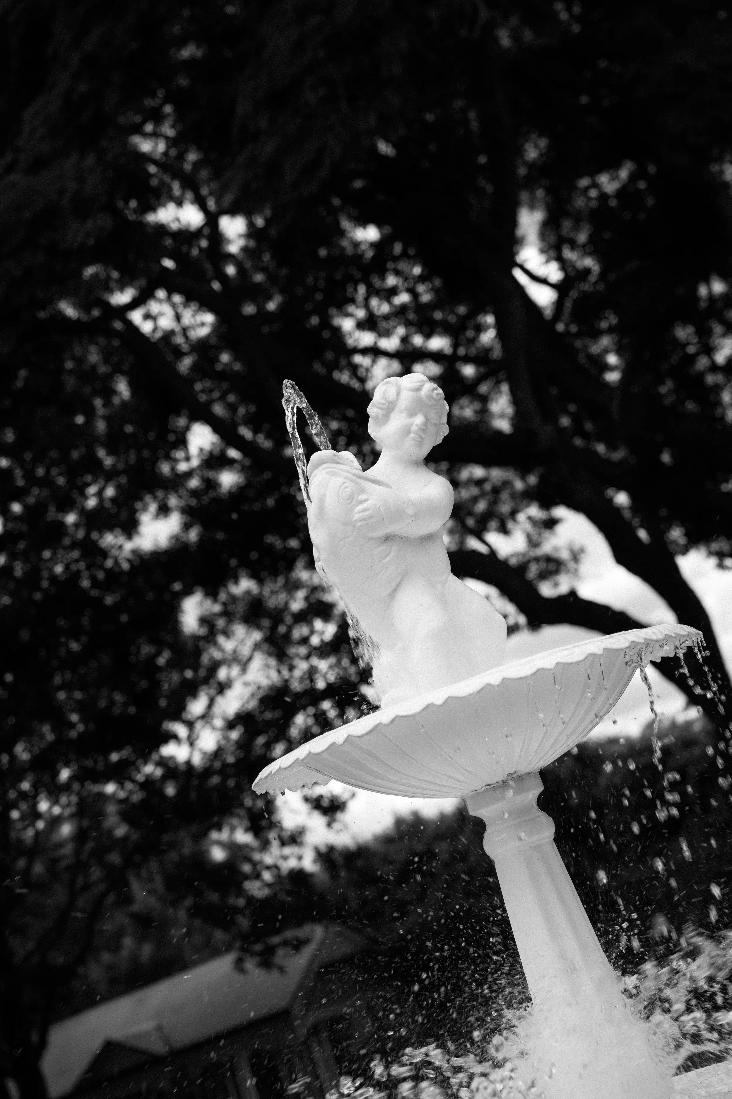 Sarah Bradford Photography-741617.jpg