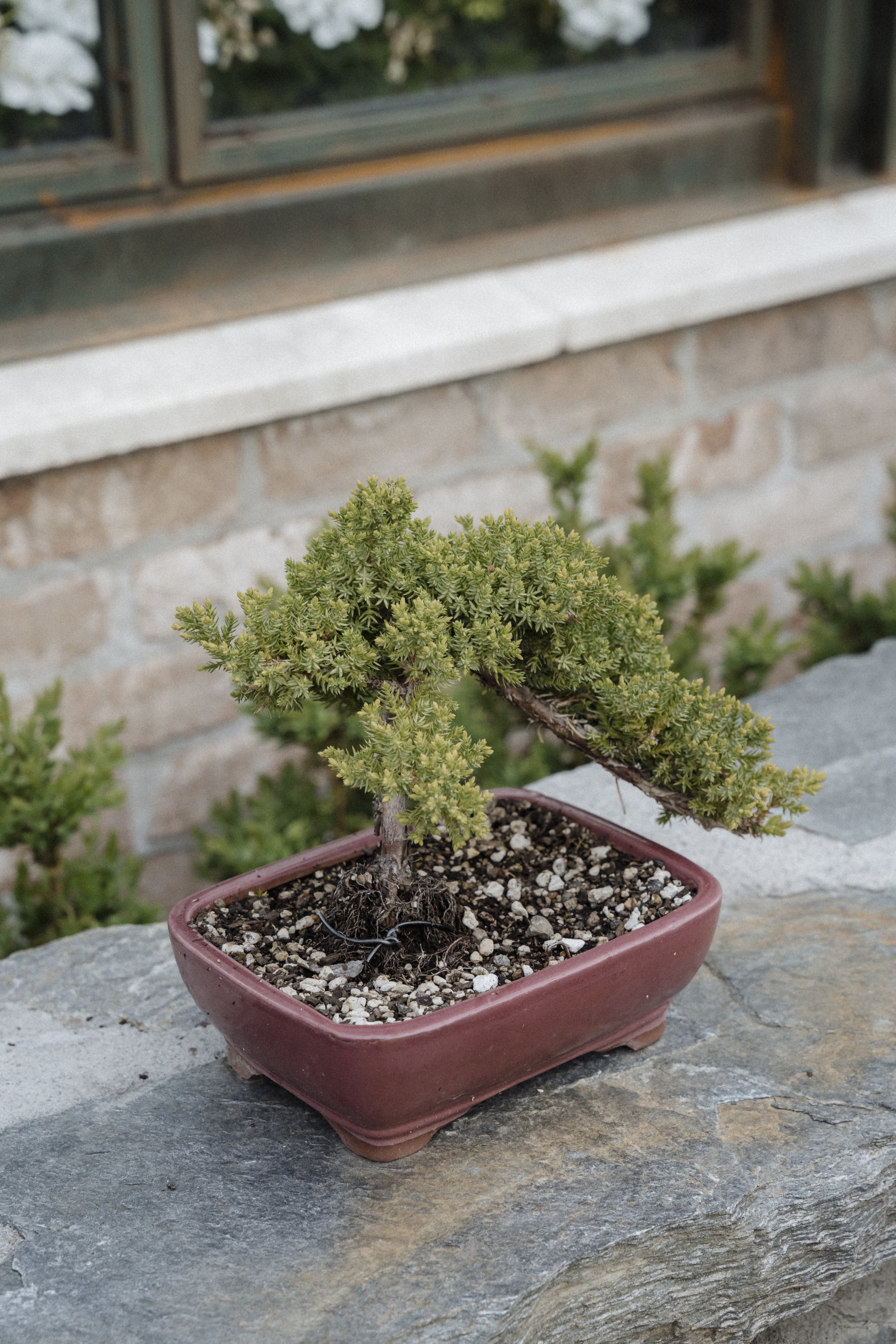 New Zealand-743673.jpg