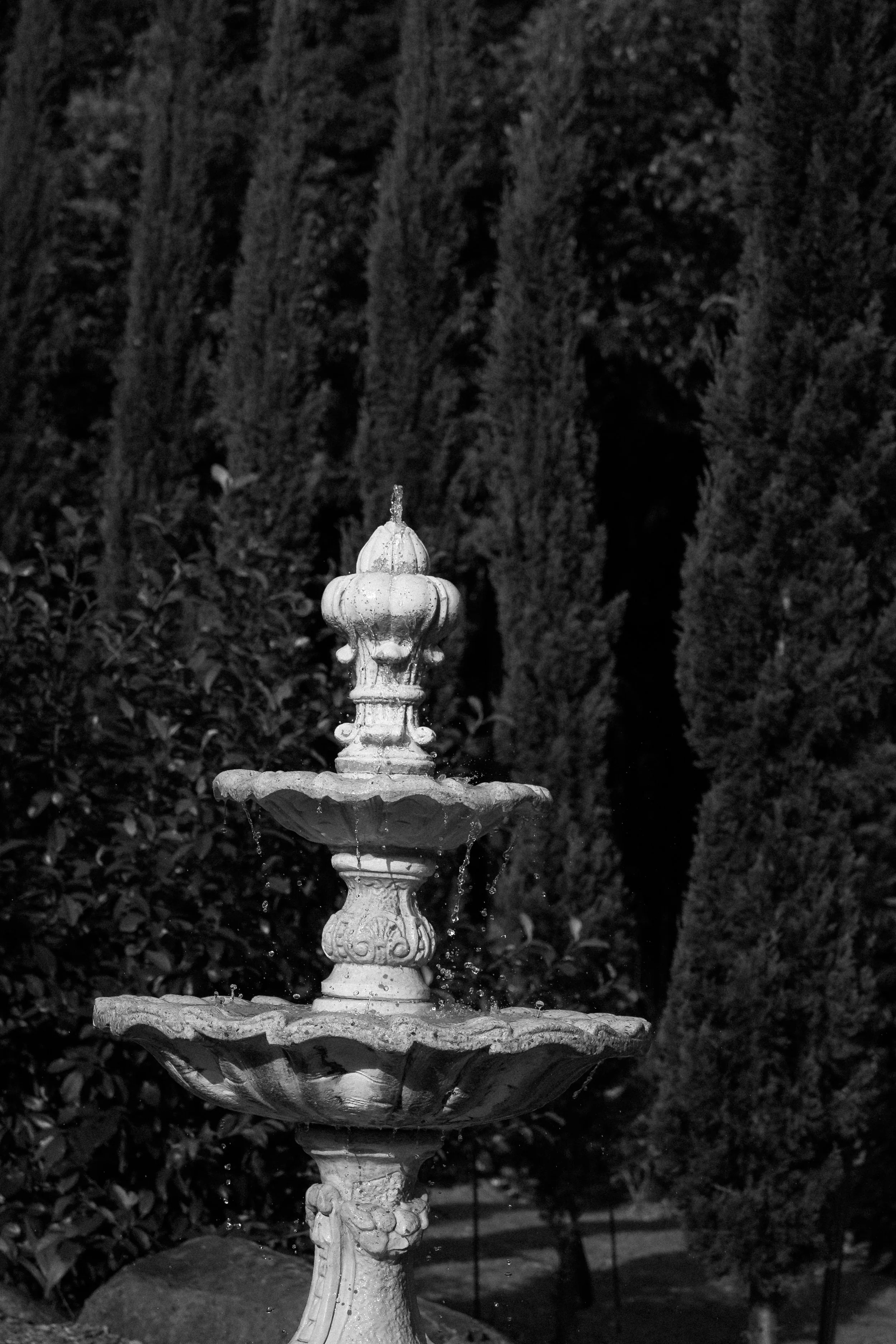 Sarah Bradford Photography-741920.jpg