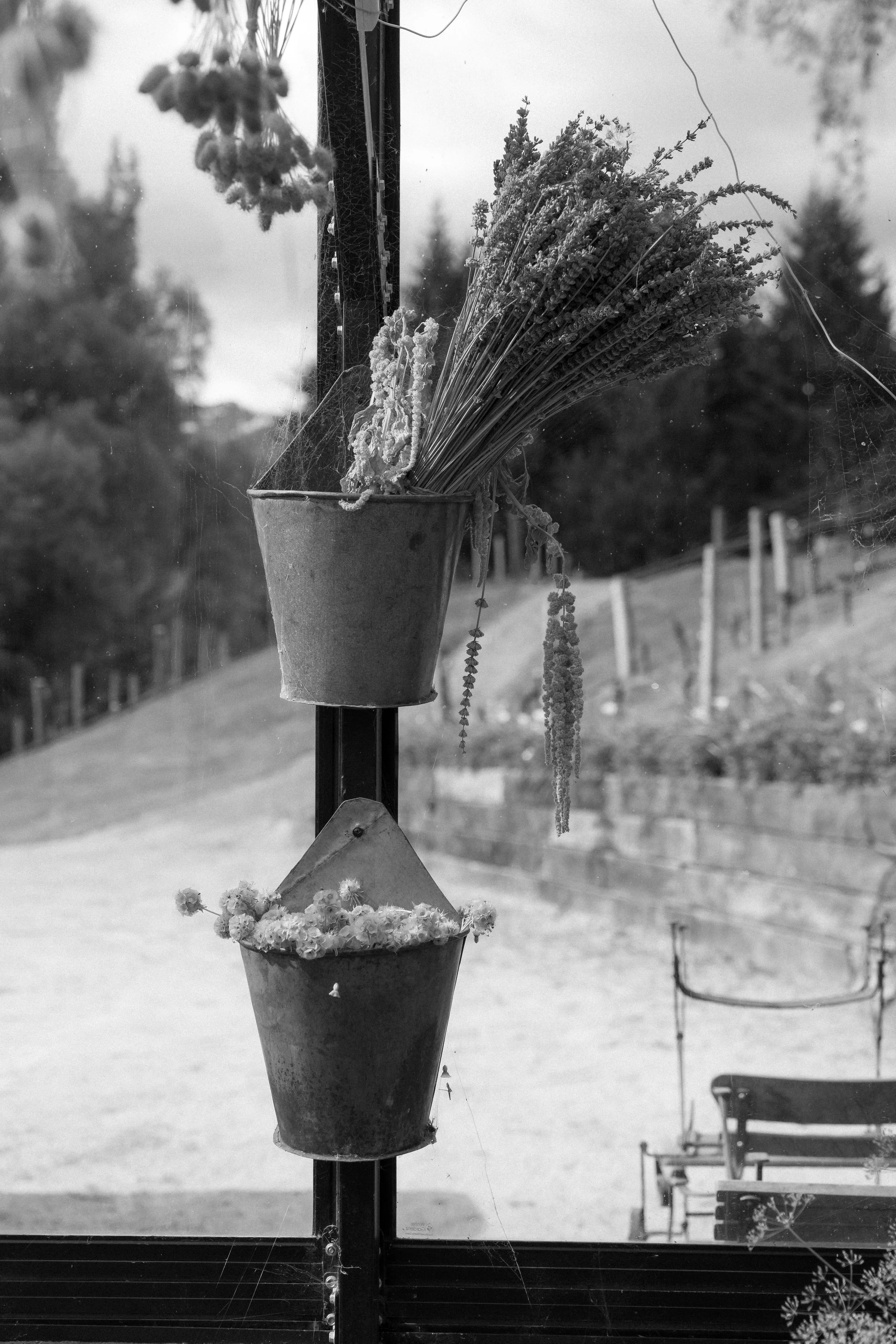 New Zealand-743738.jpg