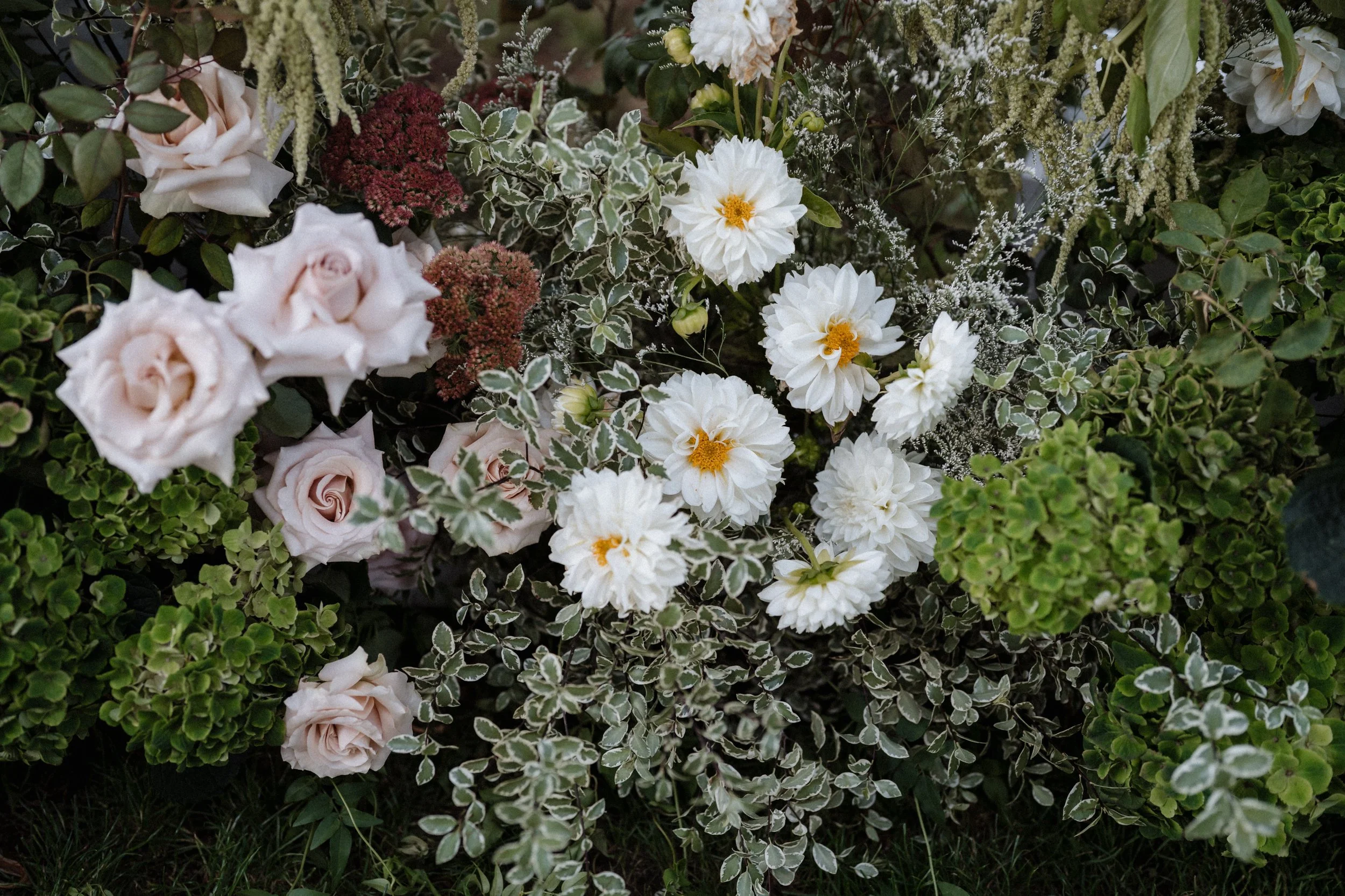 Sarah Bradford Photography-03822.jpg